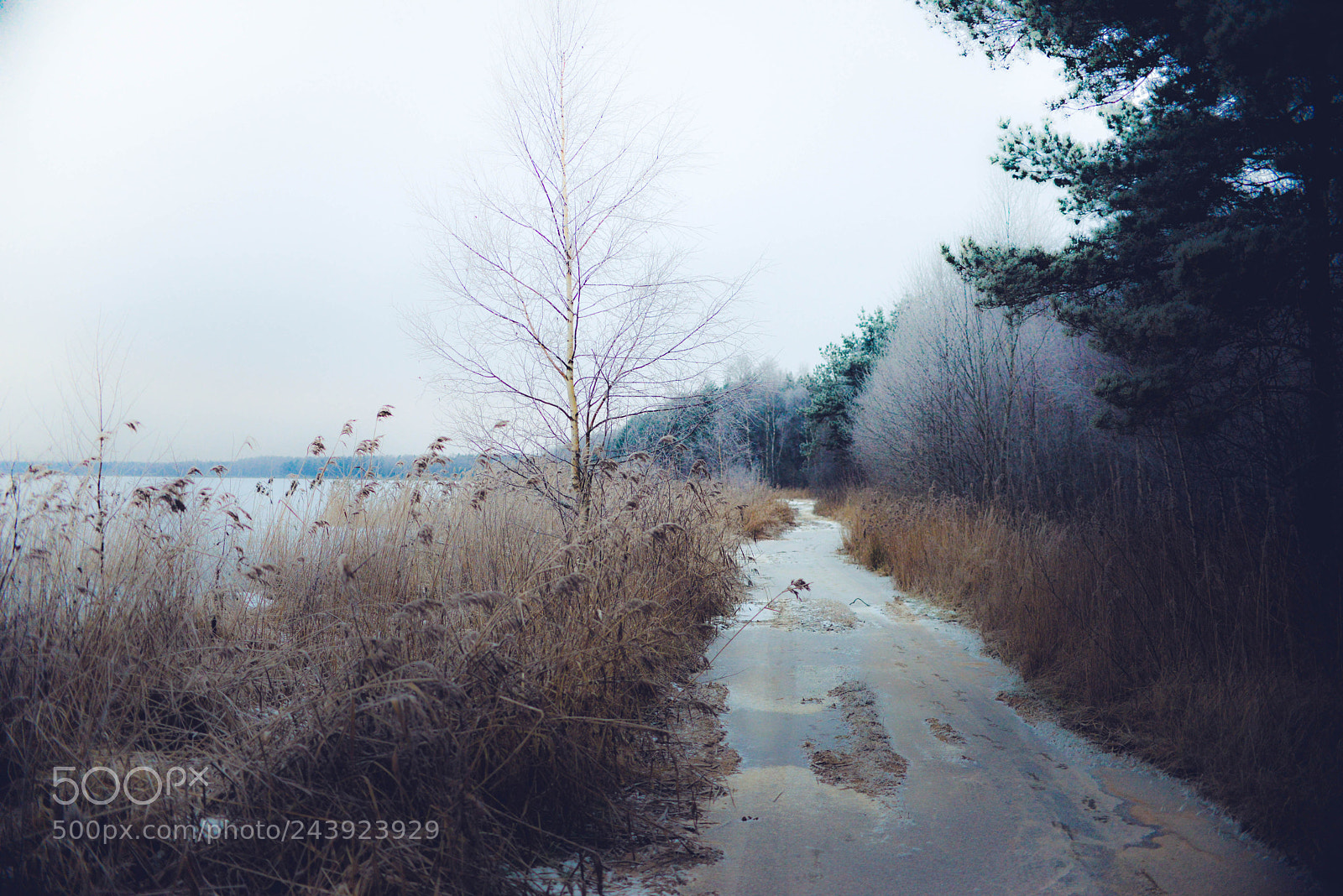 Nikon D610 sample photo. Untitled photography