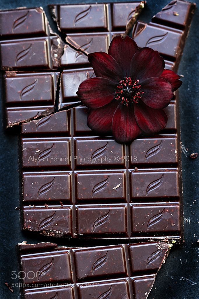 Canon EOS 7D Mark II sample photo. Chocolate photography
