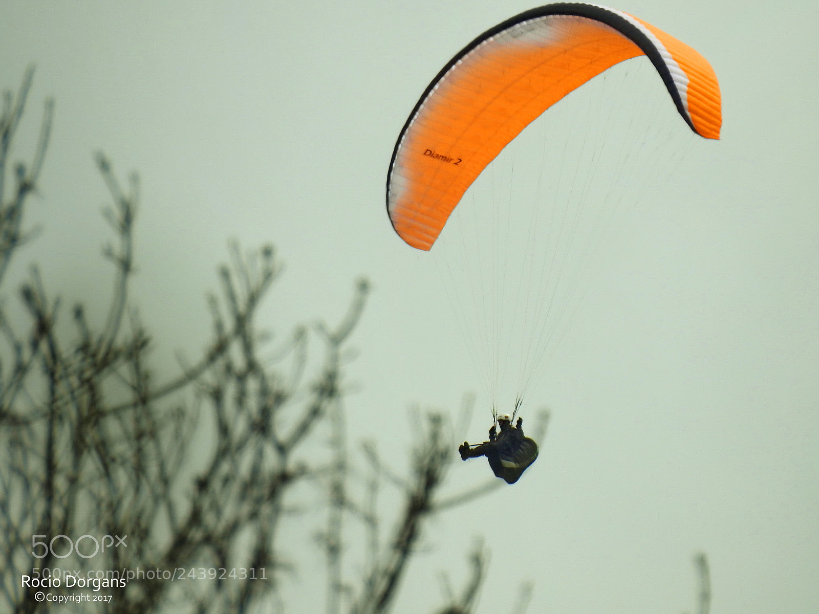 Nikon Coolpix P900 sample photo. Parachute photography