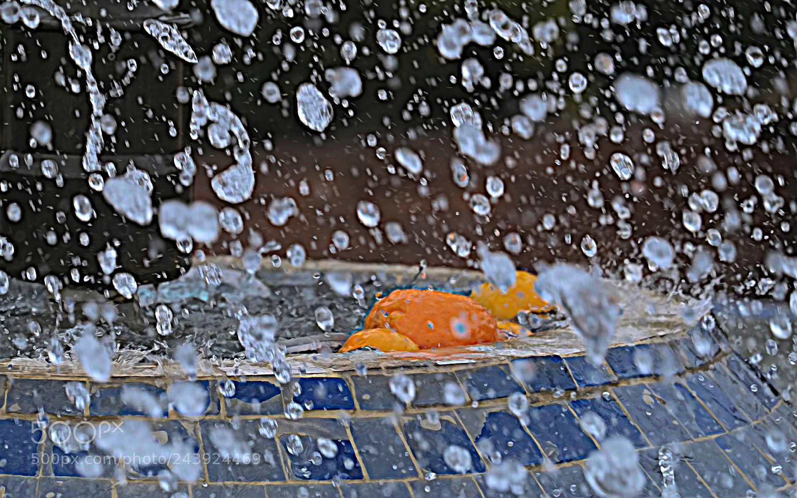 Fujifilm X-E1 sample photo. Dancing orages photography