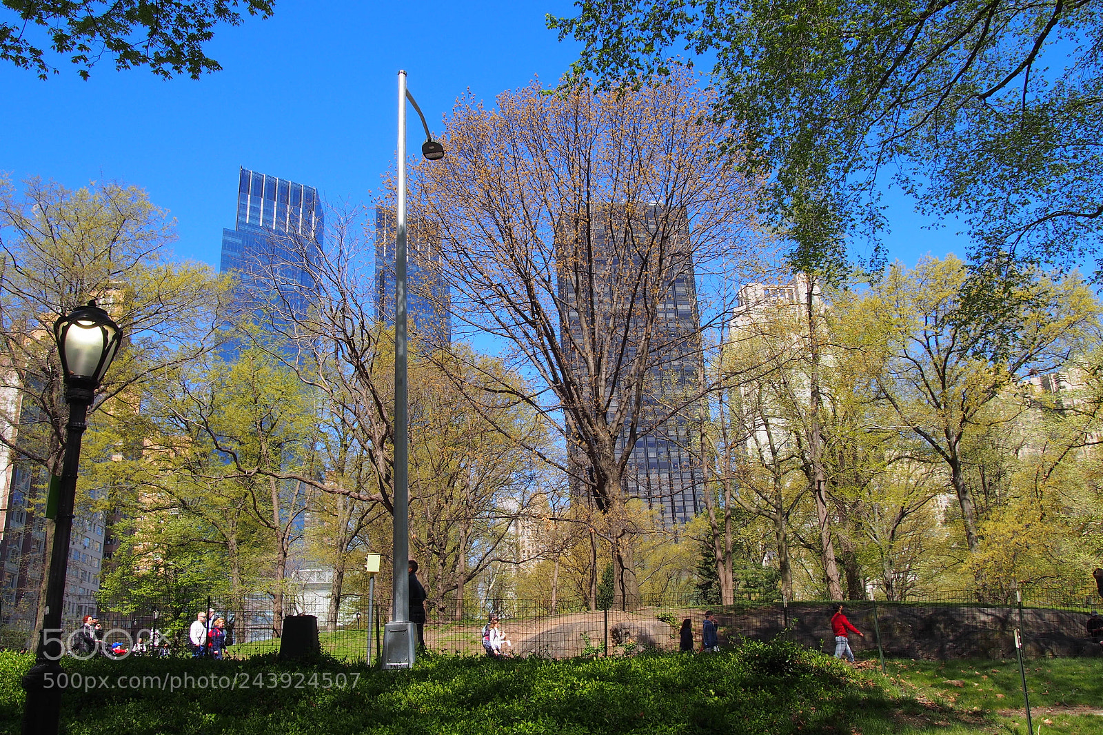 Olympus PEN E-PL6 sample photo. Central park lamp view. photography