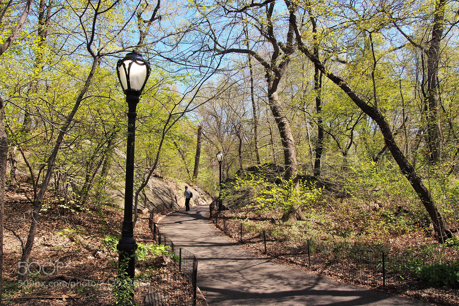 Olympus PEN E-PL6 sample photo. Narnia central park. photography