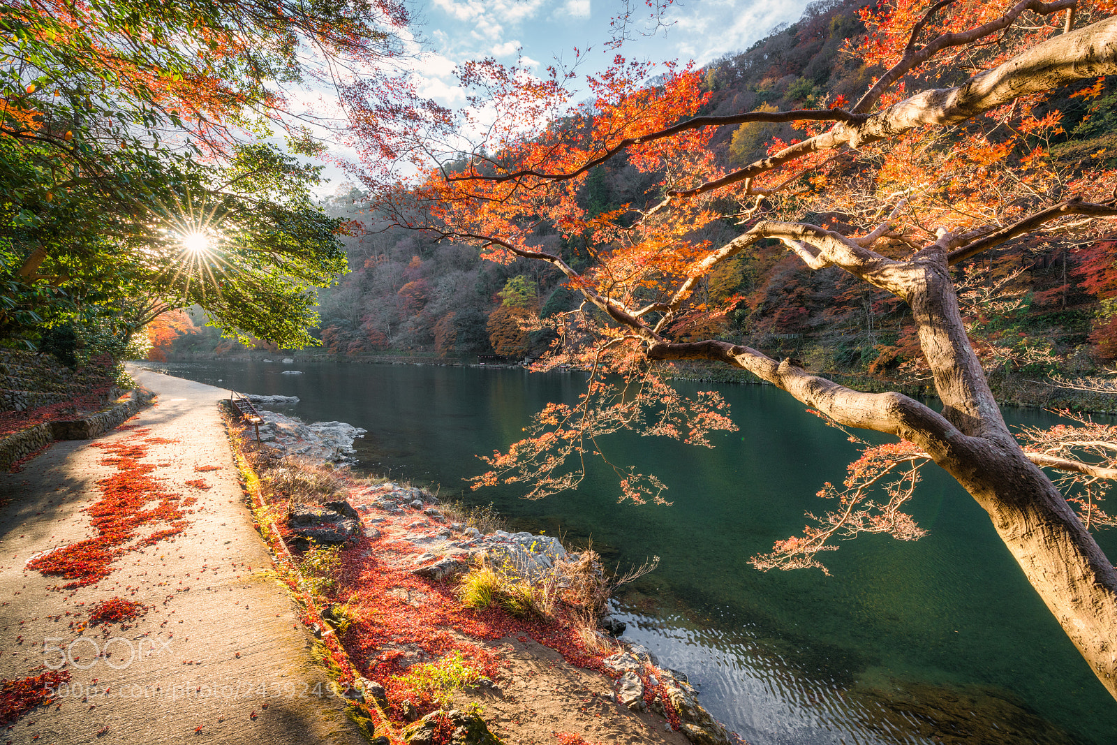 Sony a7R II sample photo. Arashiyama photography