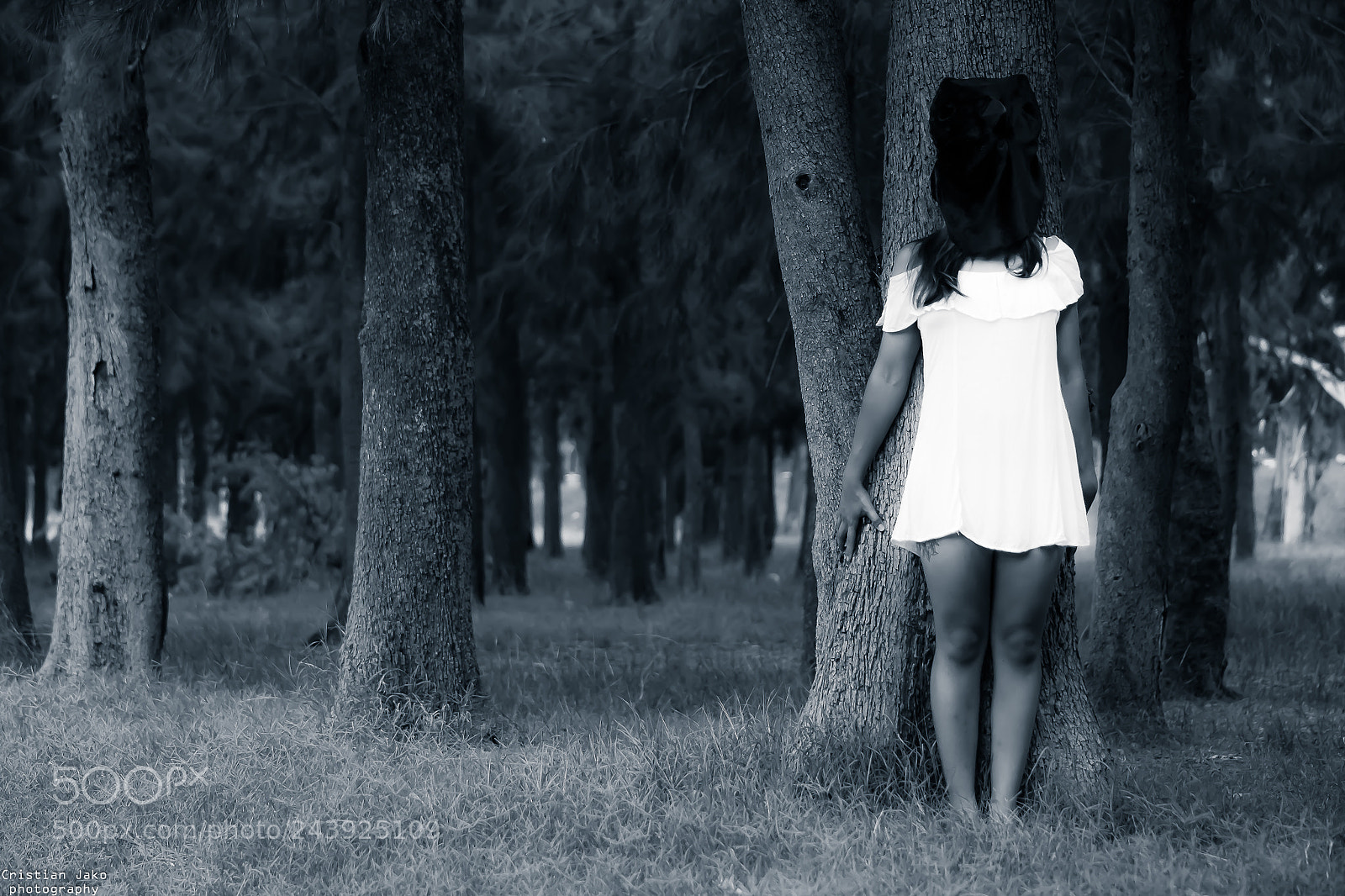 Nikon D3100 sample photo. Maia photography