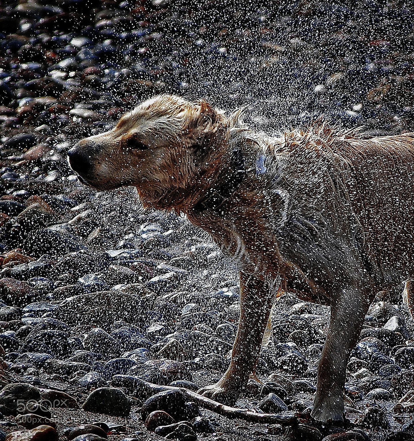 Nikon D3000 sample photo. Anna on the beach photography