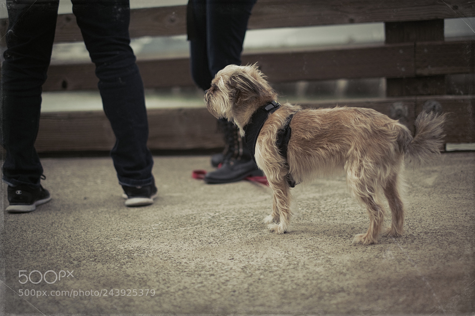 Fujifilm X-T2 sample photo. Here boy photography
