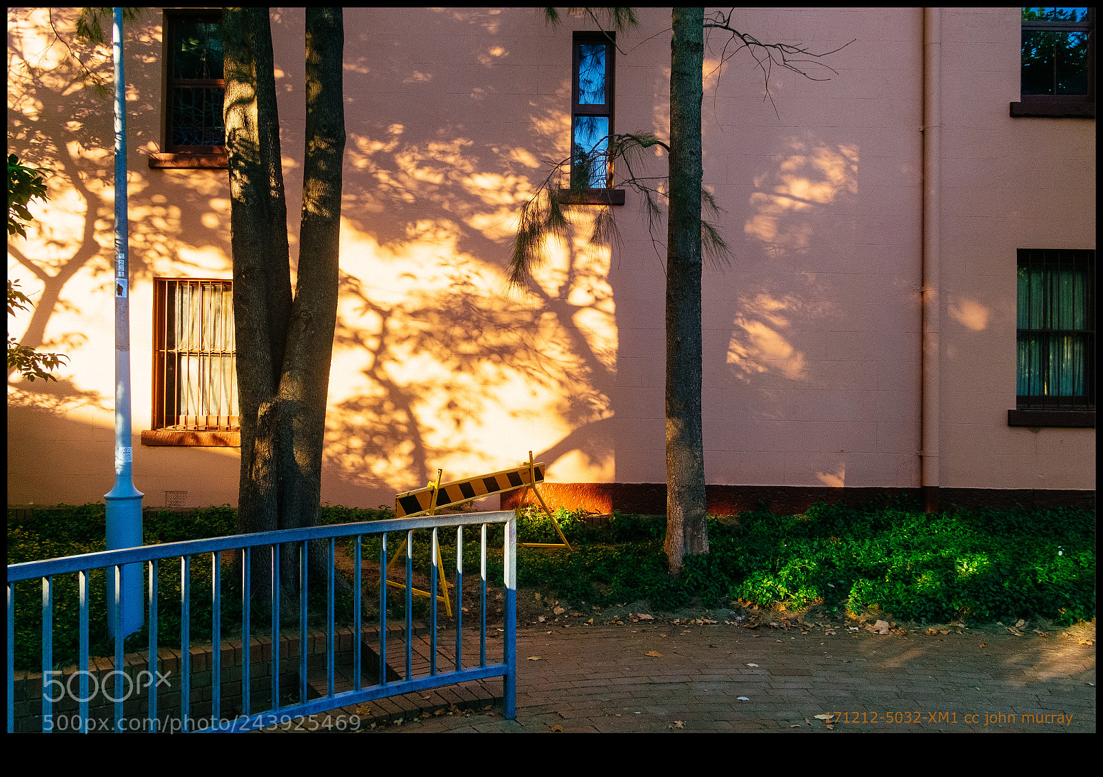Fujifilm X-M1 sample photo. 171212-5032-xm1.raf photography