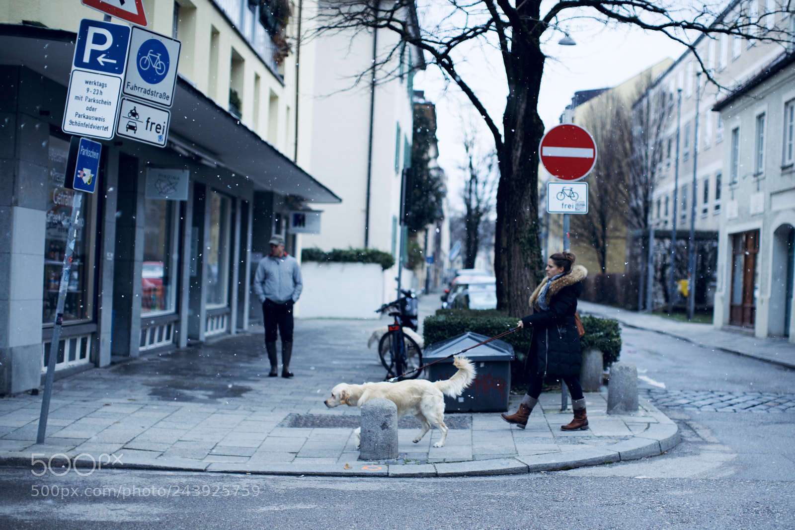 Canon EOS 5DS sample photo. Dog, snowflakes, and people photography