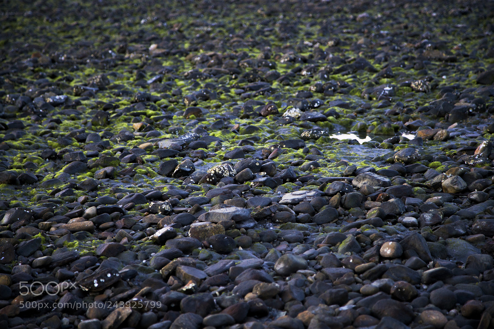 Sony a7R II sample photo. Sunset stones photography