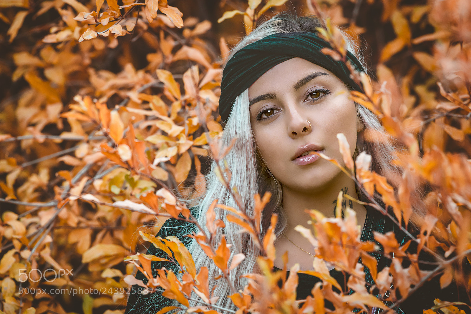 Nikon D810 sample photo. Honiyeh photography