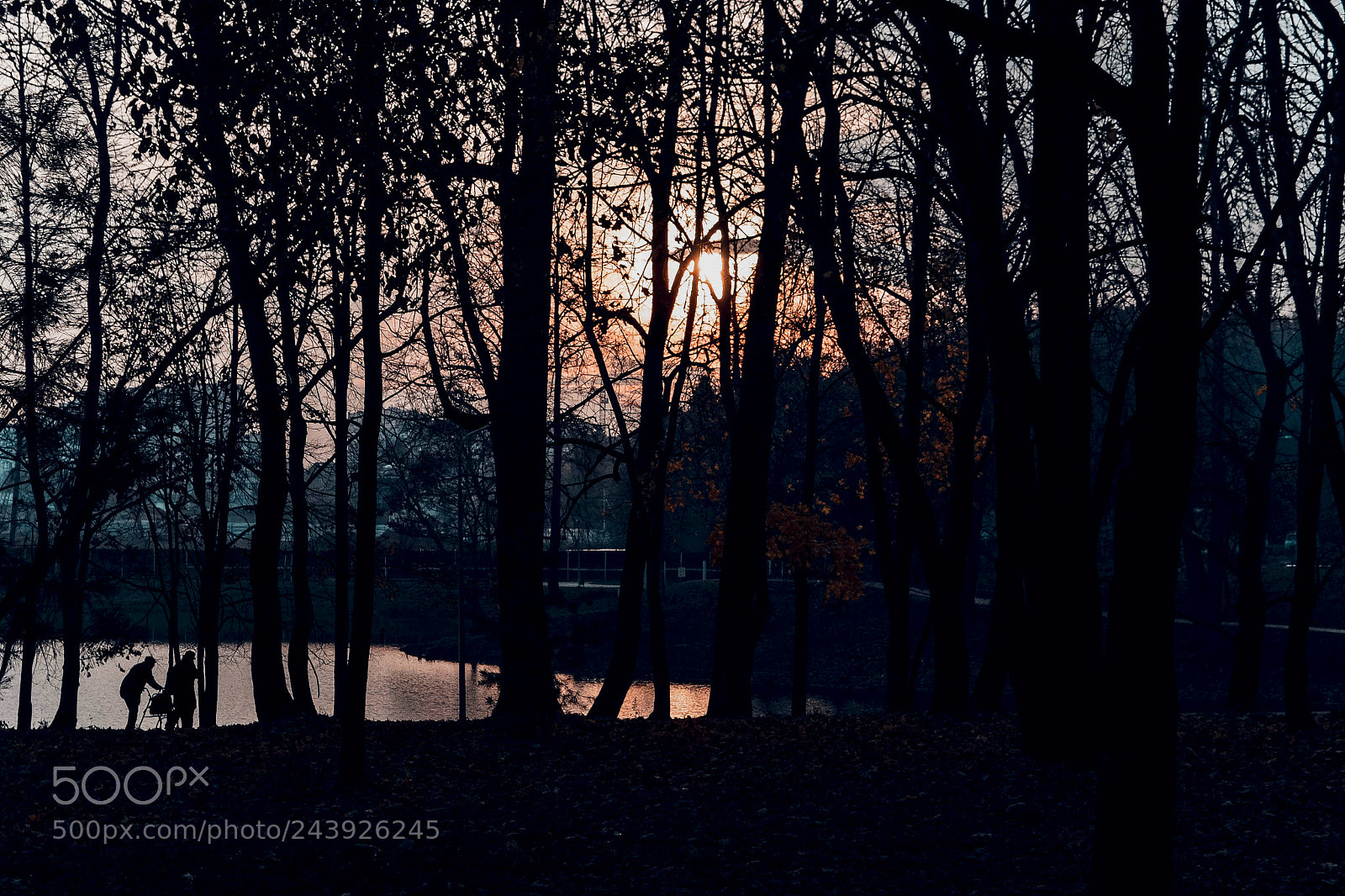 Nikon D3100 sample photo. Just evening photography