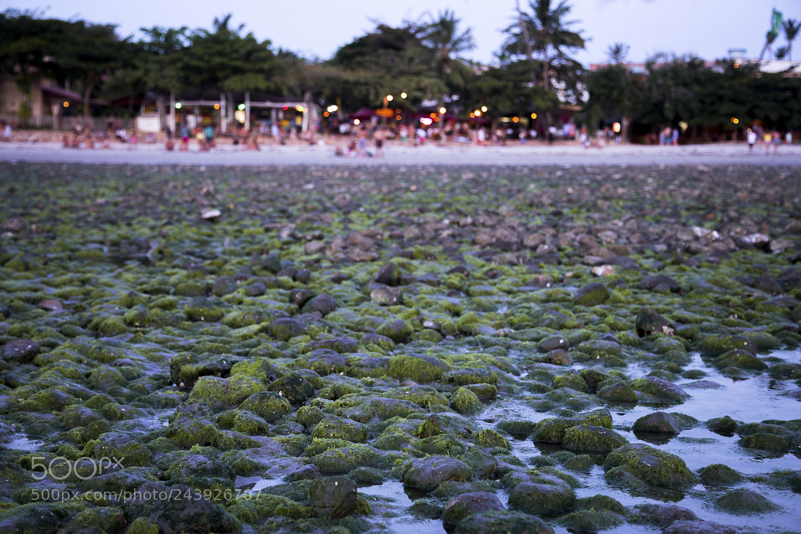Sony a7R II sample photo. Anoitecendo em jeri photography