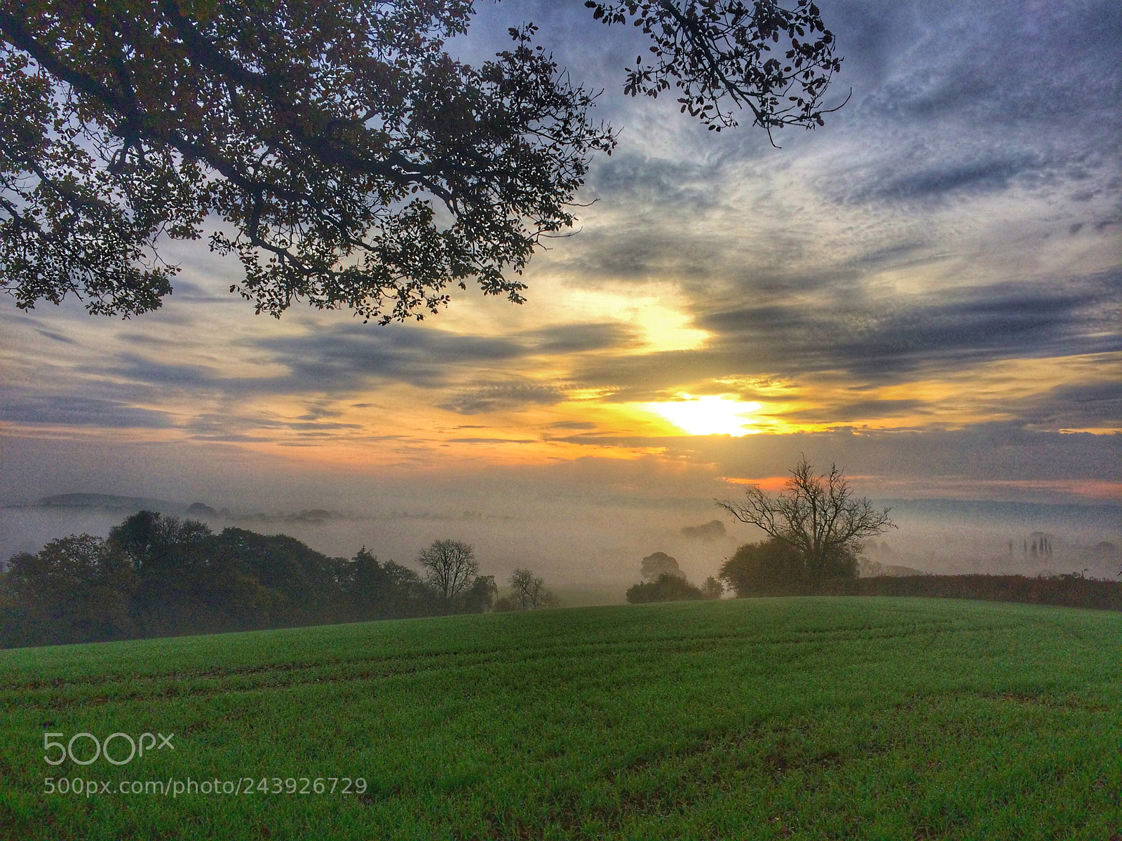 Apple iPhone 5s sample photo. Early morning walk photography