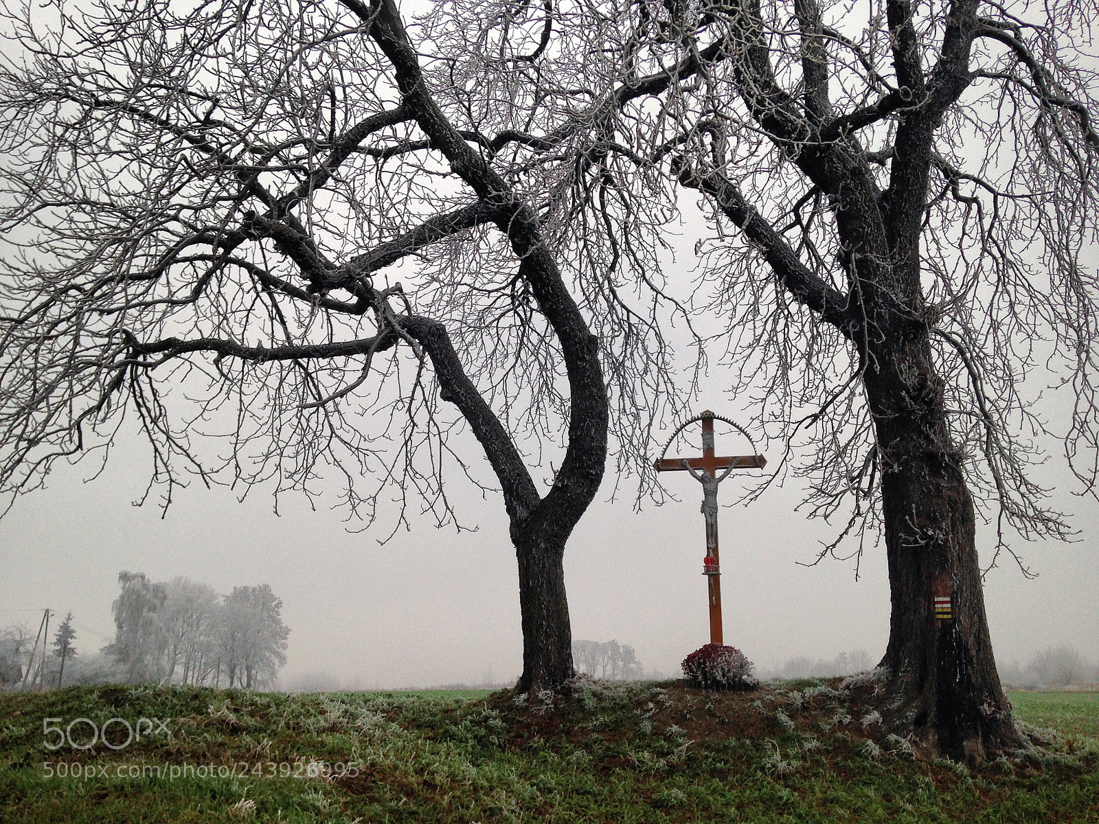 Apple iPhone 5 sample photo. Krakow, poland photography