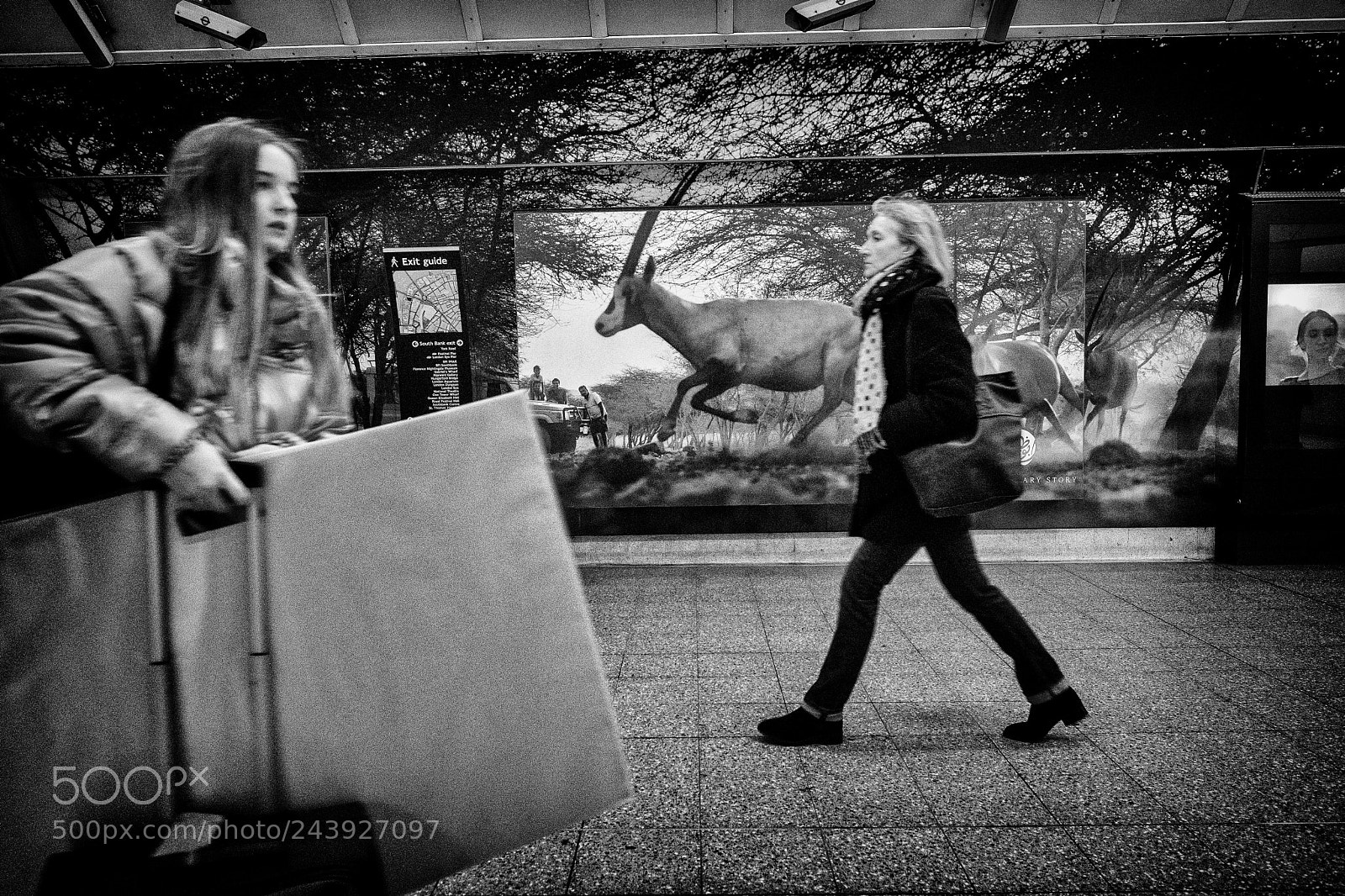 Fujifilm X-T2 sample photo. Waterloo wild. photography