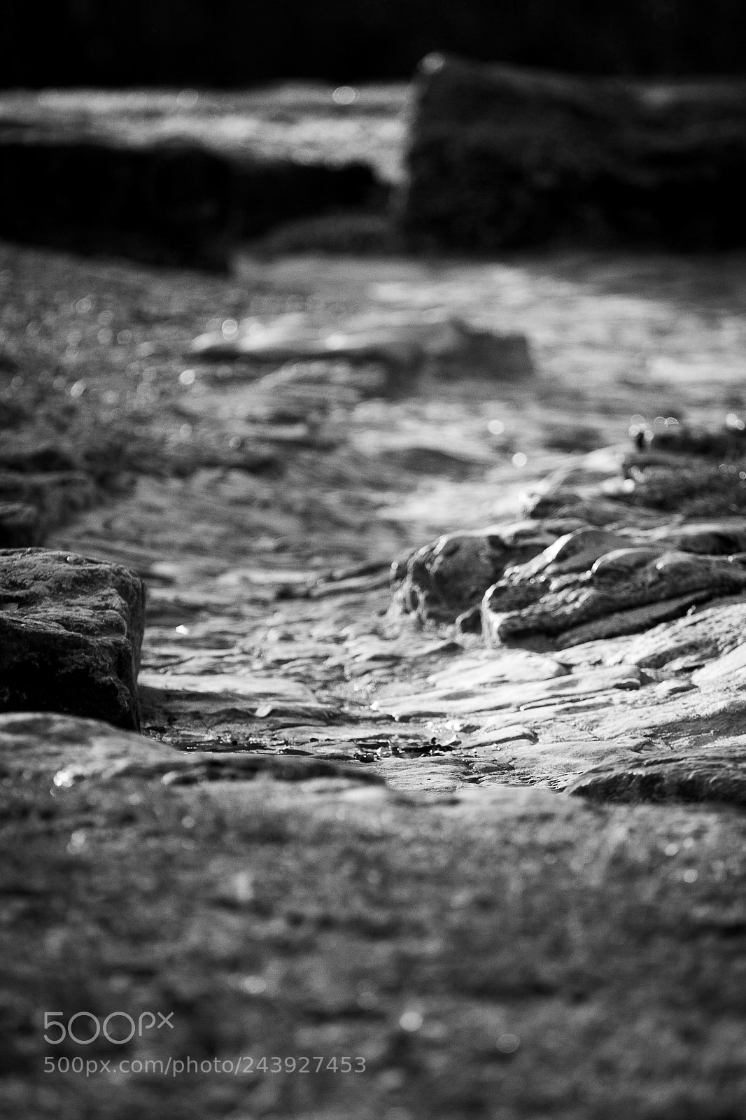Canon EOS 30D sample photo. Park photography