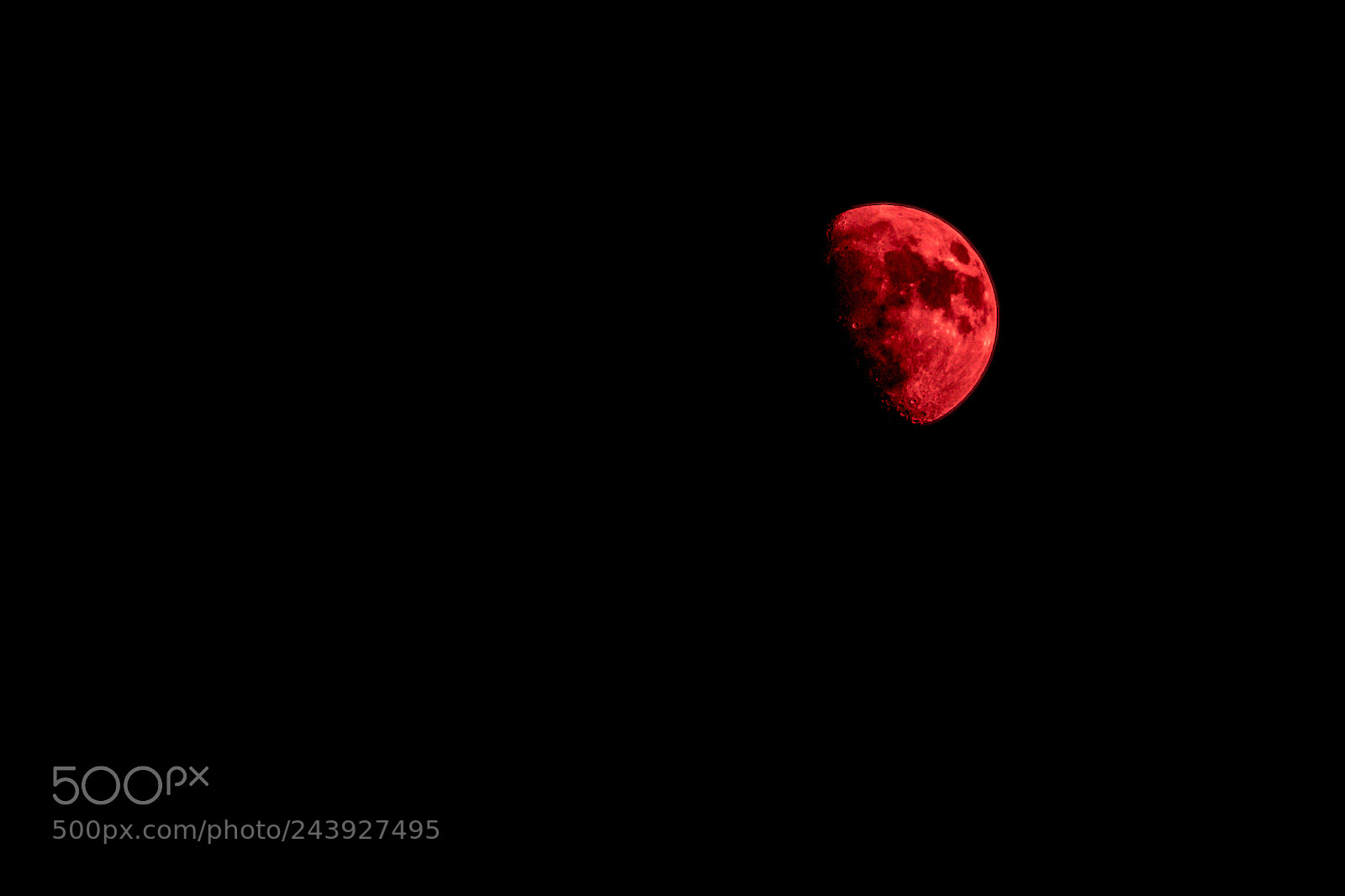 Nikon D7500 sample photo. Red moon photography