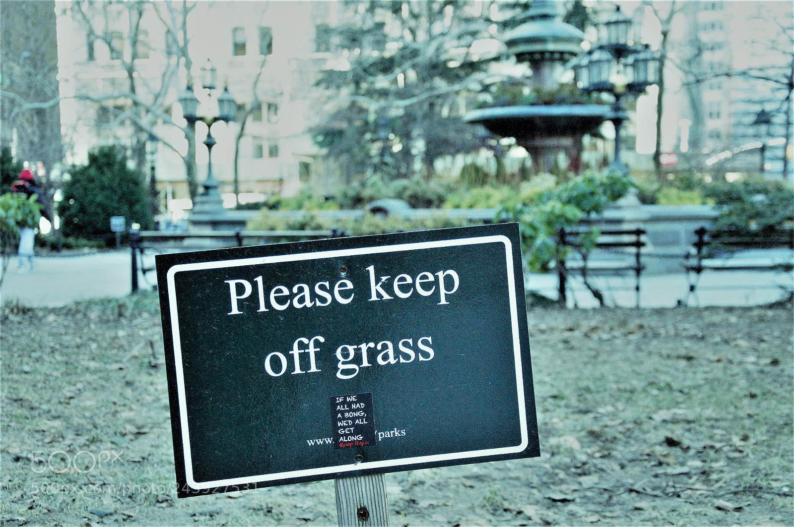 Nikon D90 sample photo. Grass photography