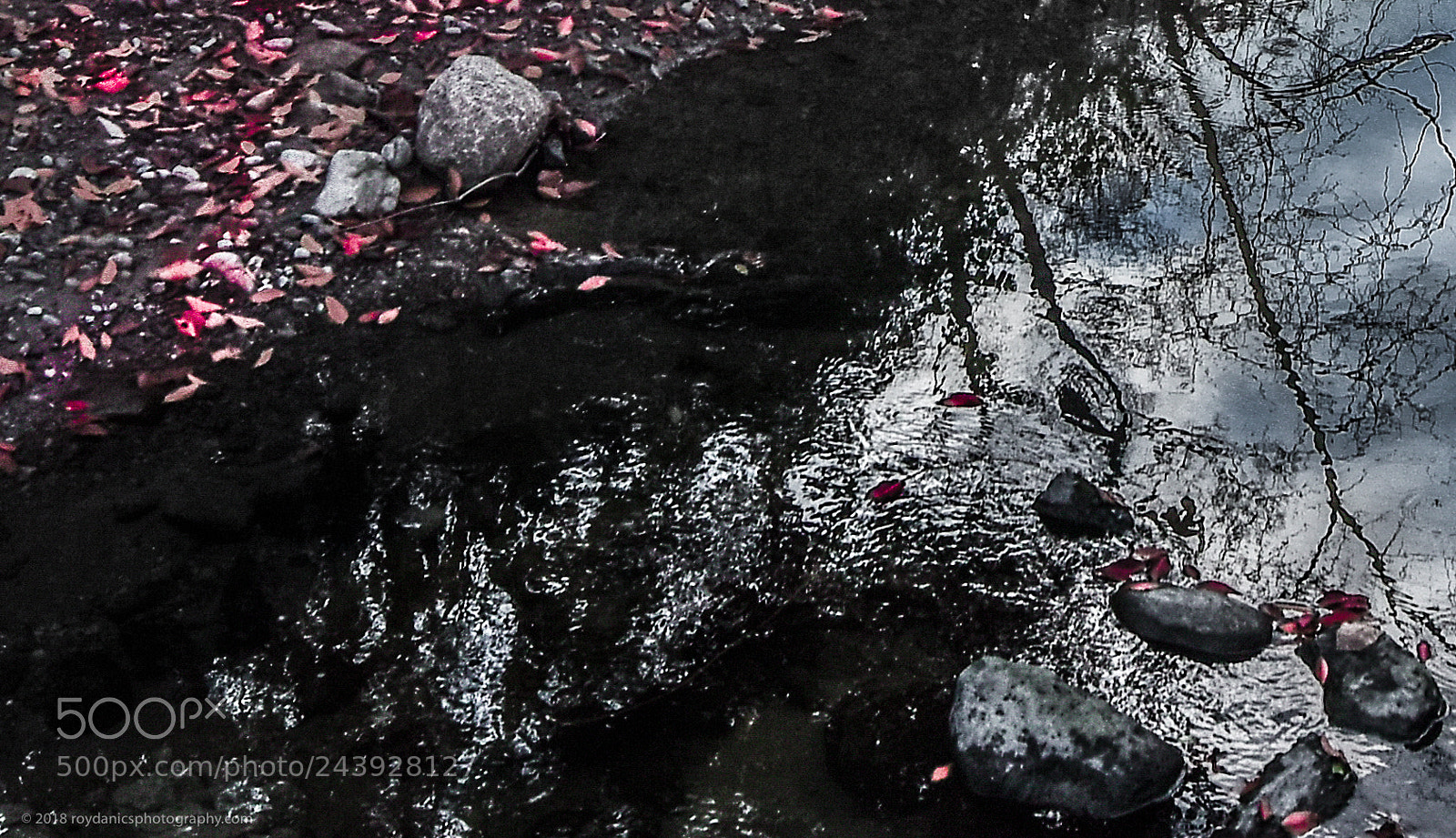 Nikon D810 sample photo. River reflection photography