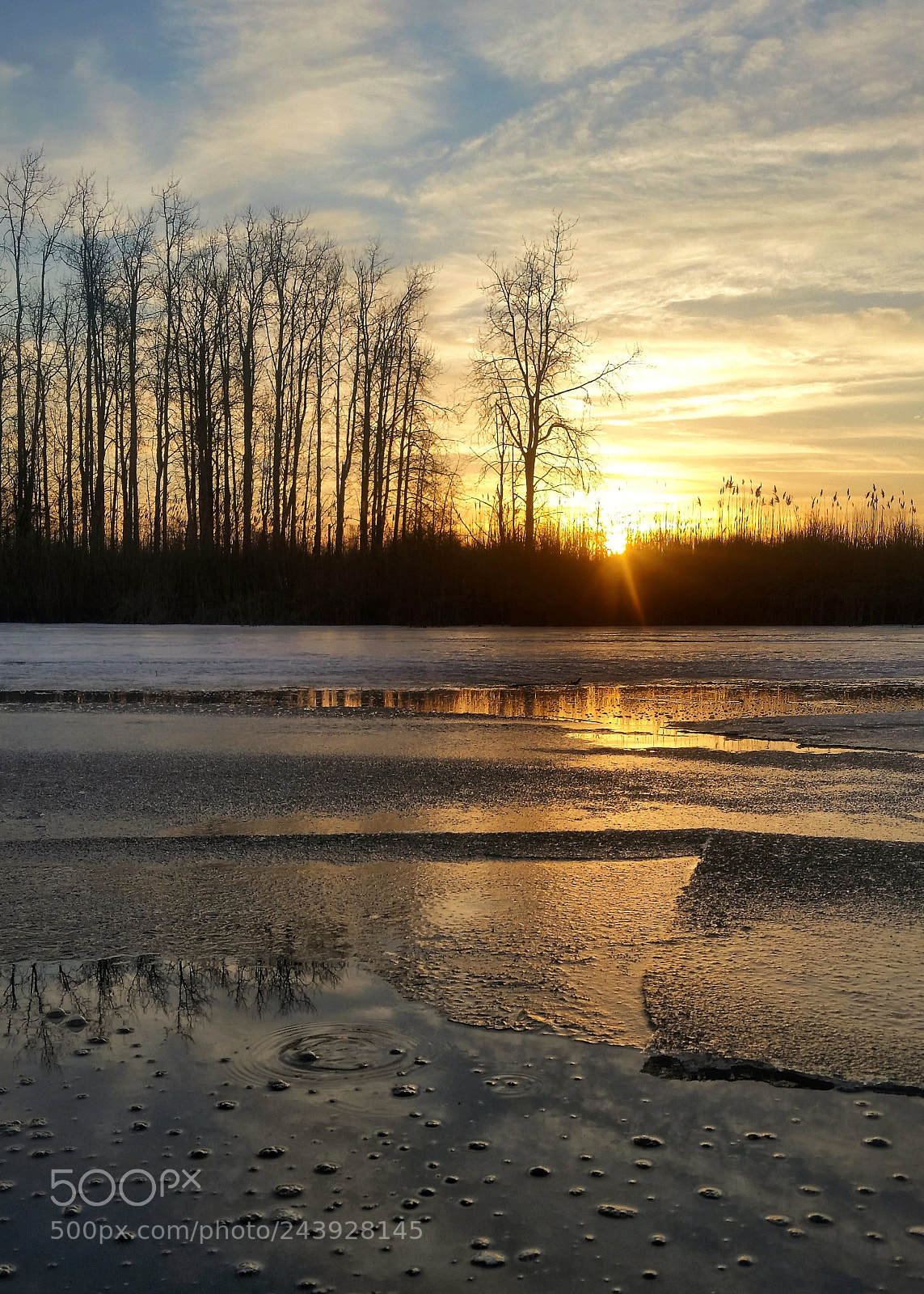 Samsung Galaxy S5 sample photo. East point photography