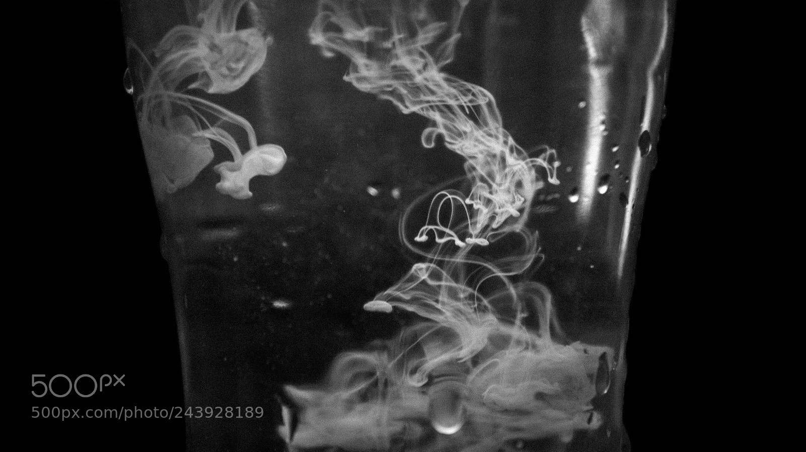 Sony Alpha NEX-5 sample photo. Milkwater photography