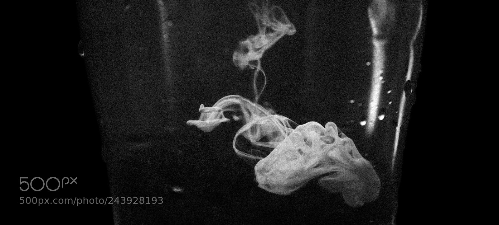 Sony Alpha NEX-5 sample photo. Milkwater photography