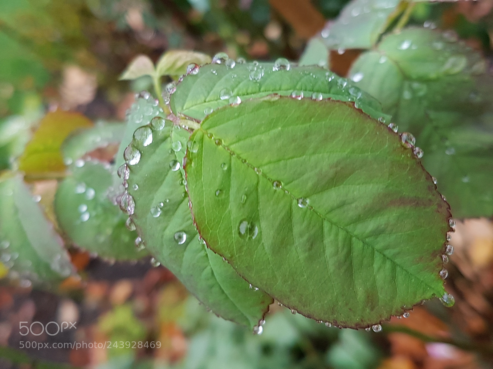 Samsung Galaxy S7 sample photo. Untitled photography