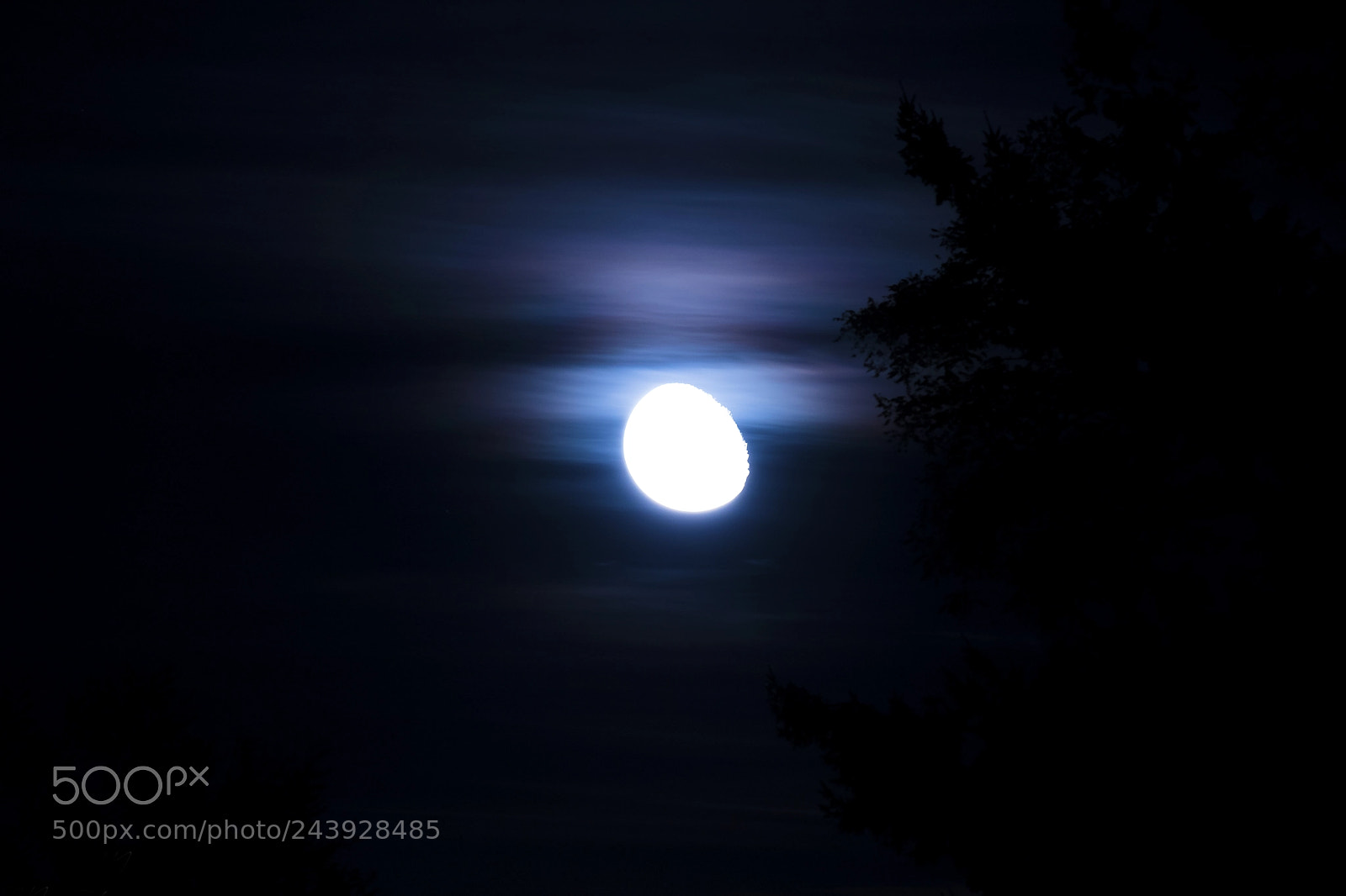 Canon EOS 750D (EOS Rebel T6i / EOS Kiss X8i) sample photo. Moonlight photography