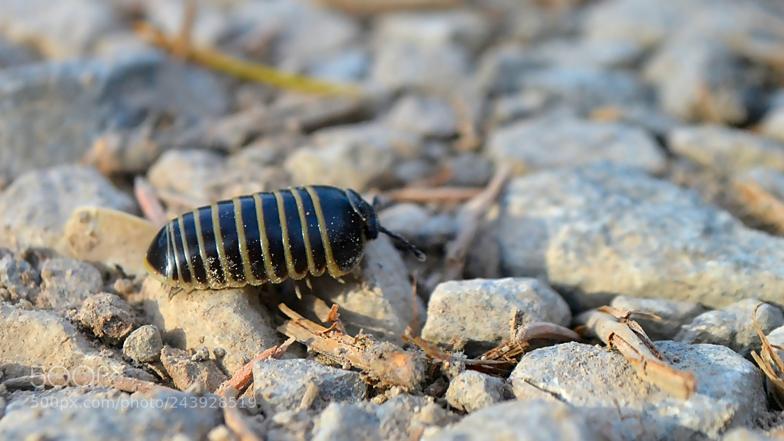 Nikon D3100 sample photo. Untitled photography