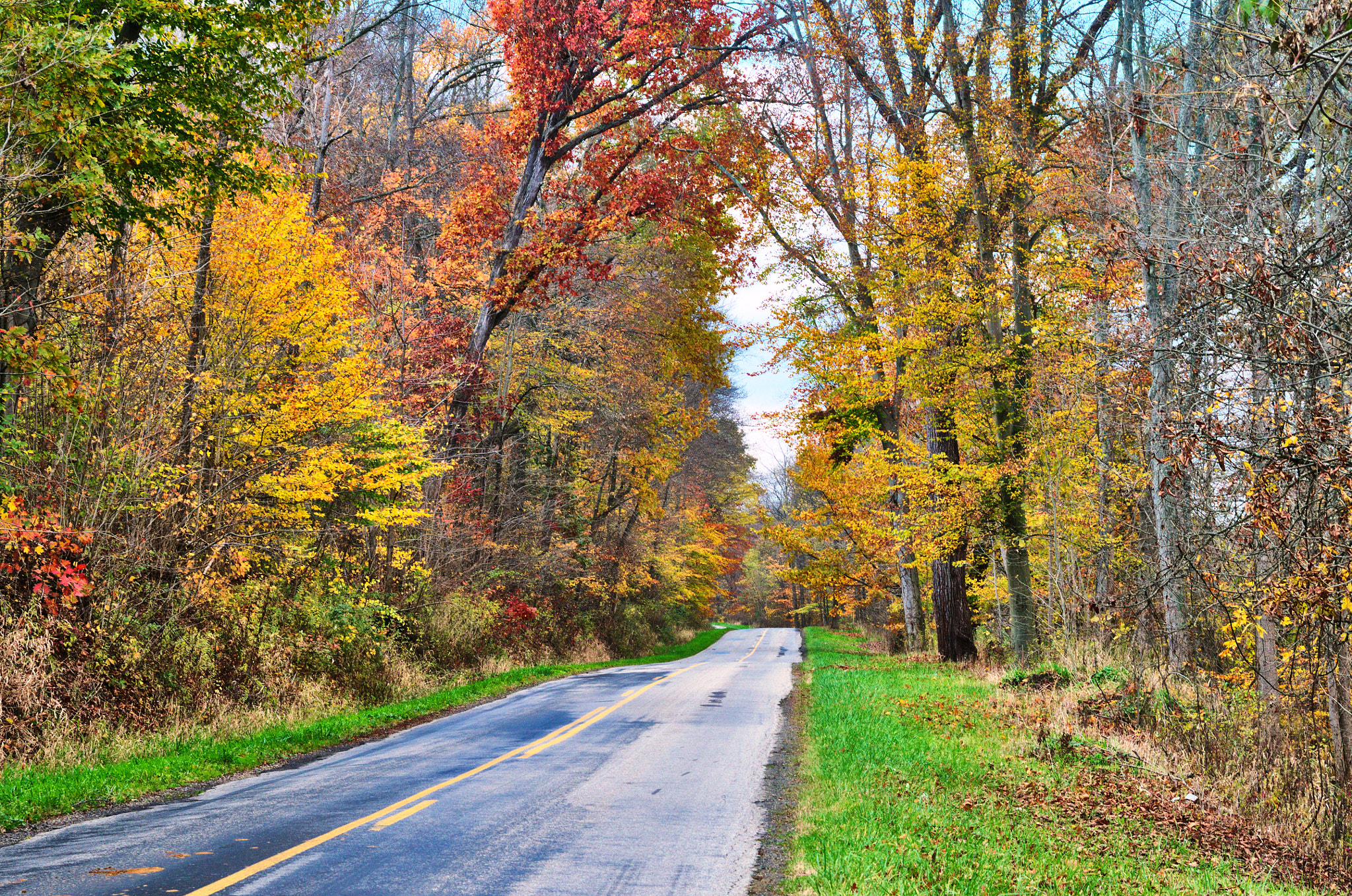 Nikon D300 + Sigma 28-105mm F2.8-4 Aspherical sample photo. Fall road photography