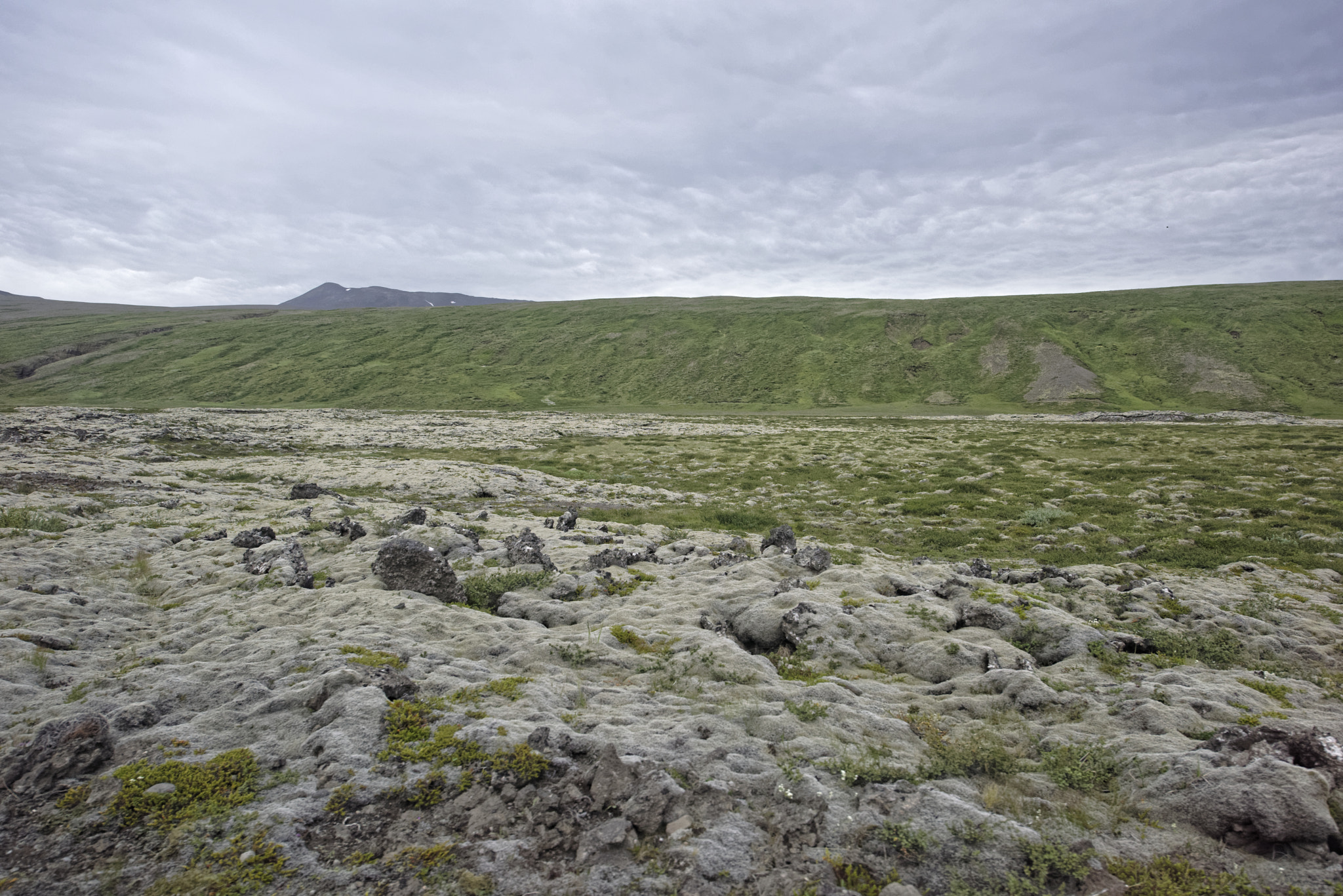 Nikon AF-S Nikkor 14-24mm F2.8G ED sample photo. Surtshellir lava tunnels (caves) in the hallmundarhraun lava fie photography
