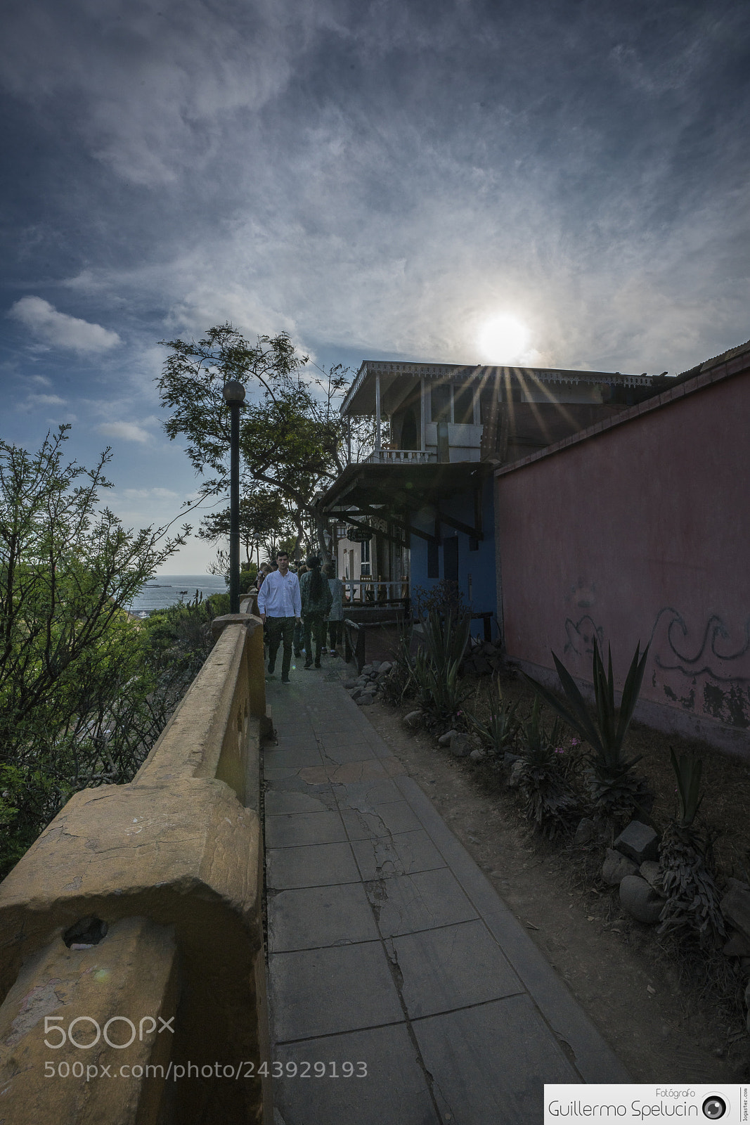 Sony a7R II sample photo. Road to the lookout photography