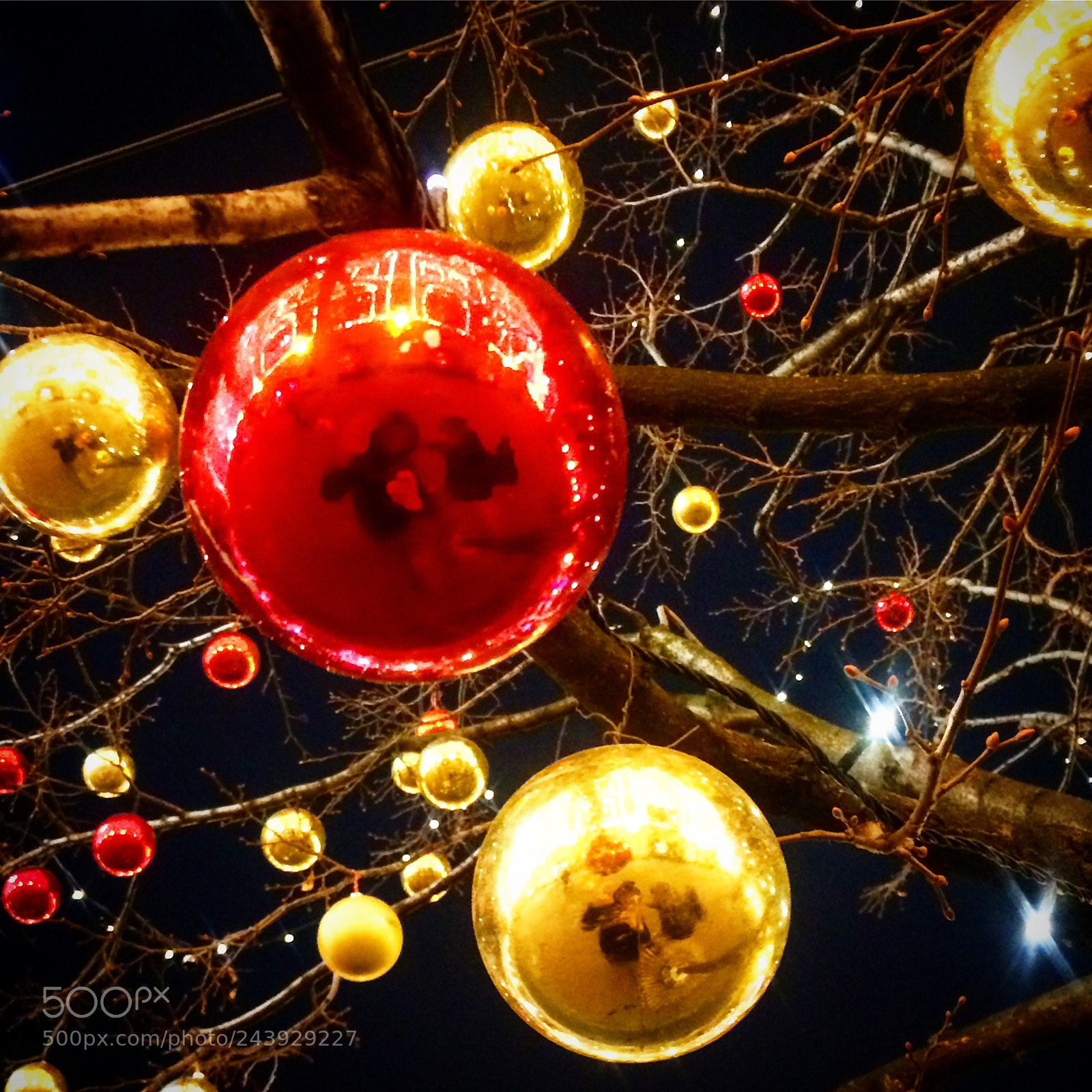Apple iPhone 5s sample photo. Selfie in christmas decorations photography