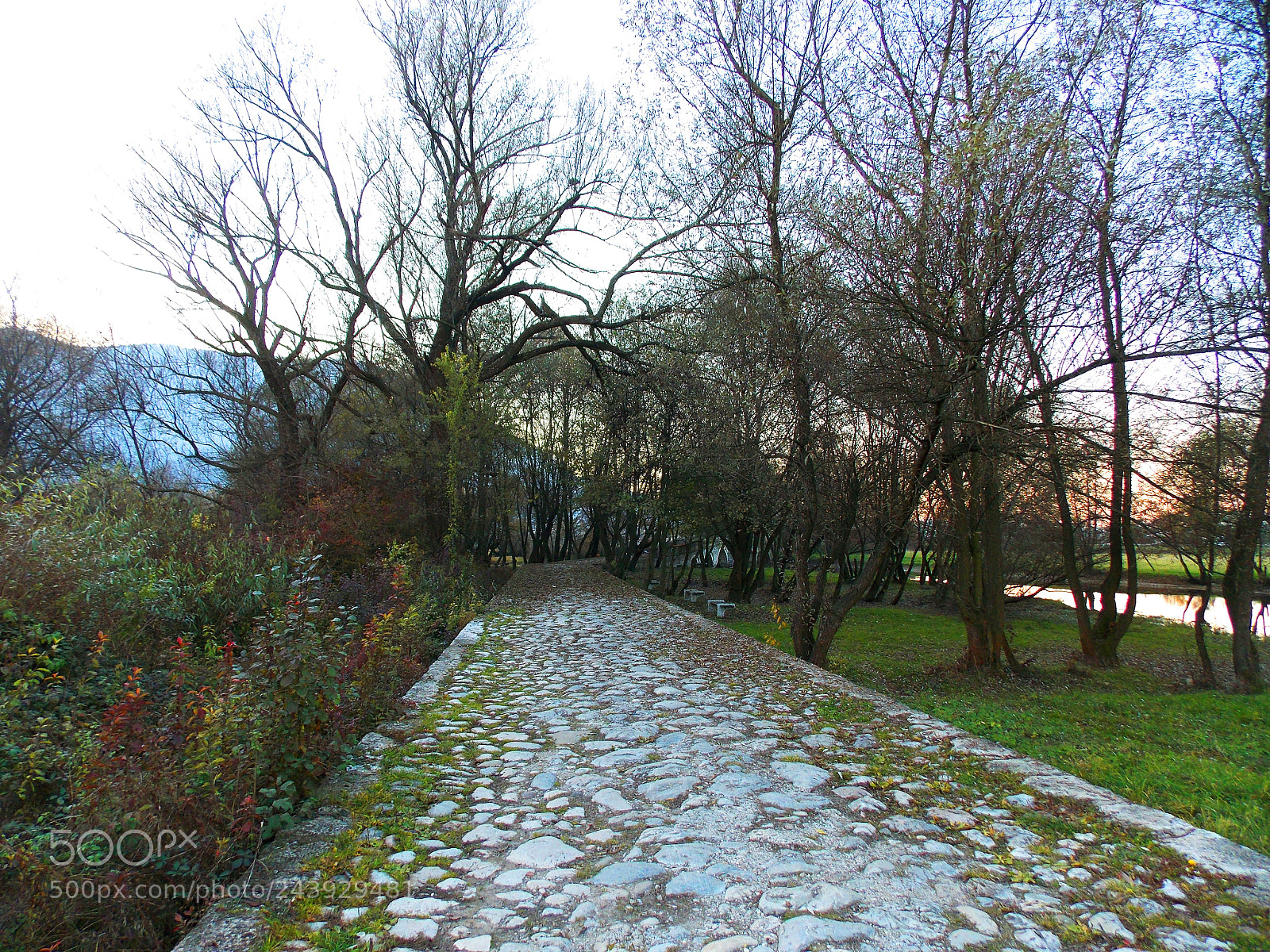 Nikon Coolpix L810 sample photo. Path photography