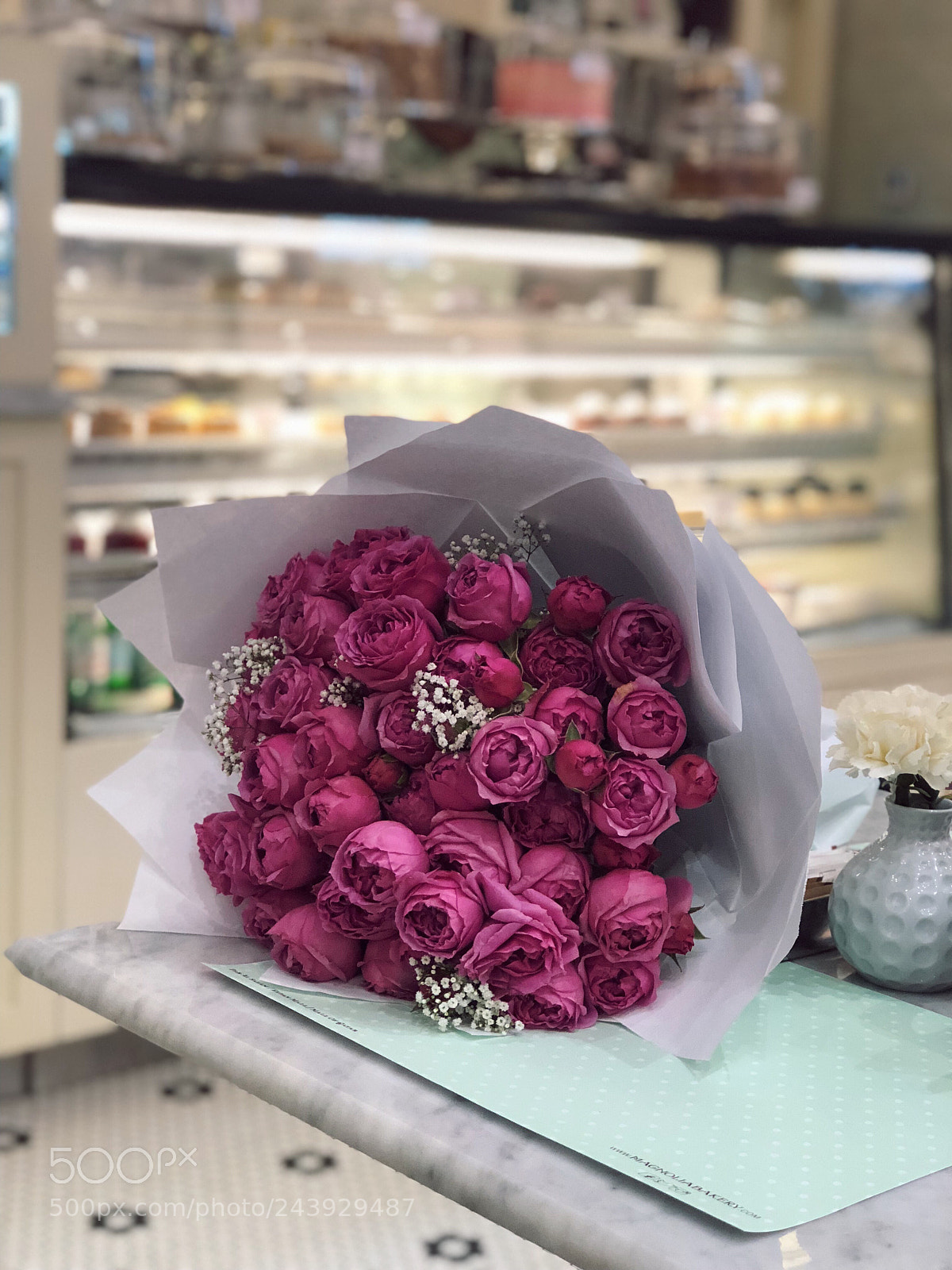 Apple iPhone 8 Plus sample photo. Untitled photography