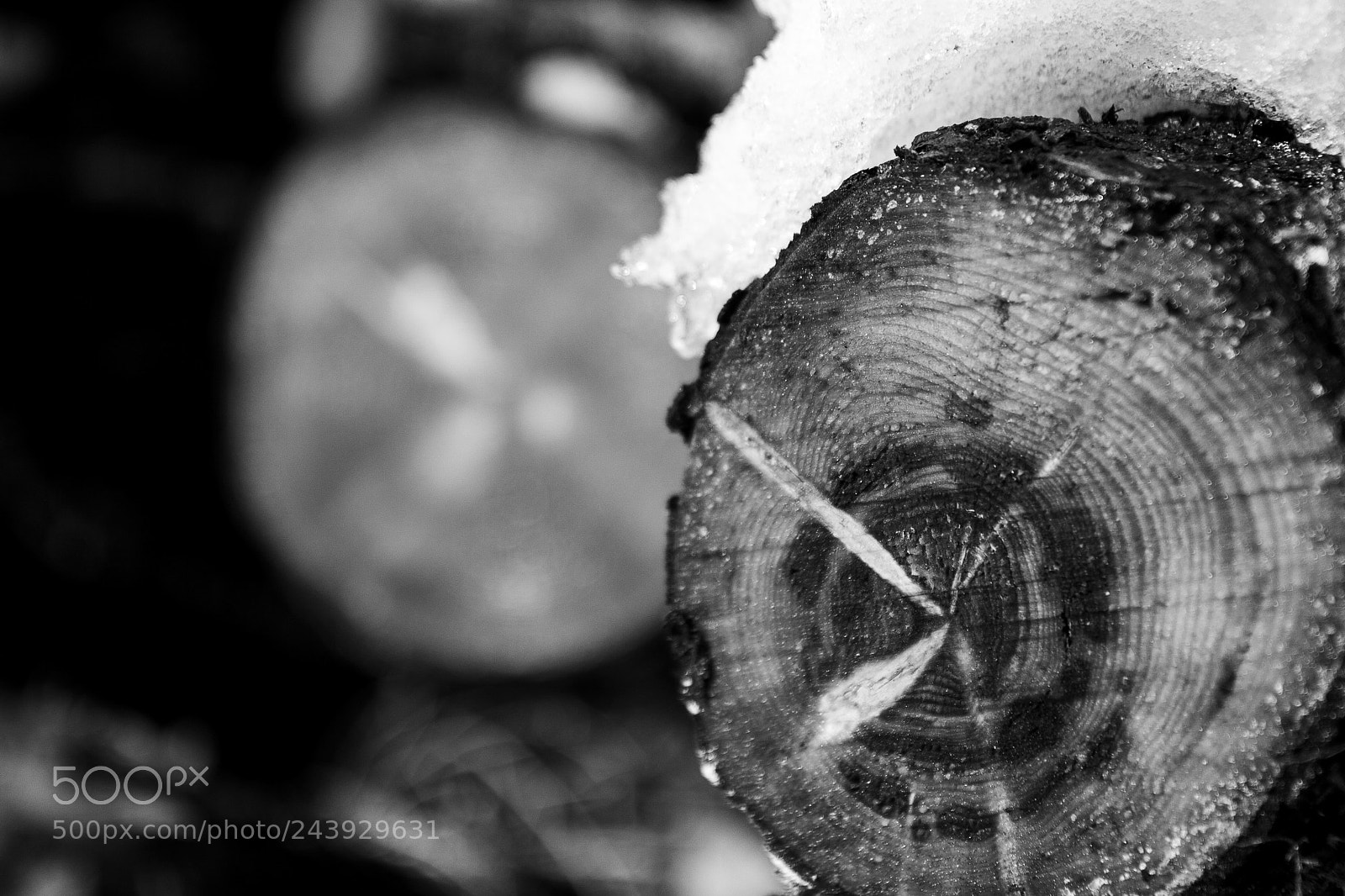 Canon EOS 30D sample photo. Rings photography