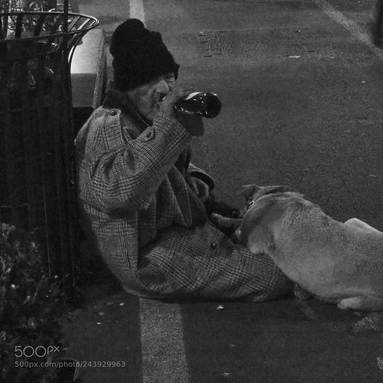 Olympus OM-D E-M10 III sample photo. Untitled photography