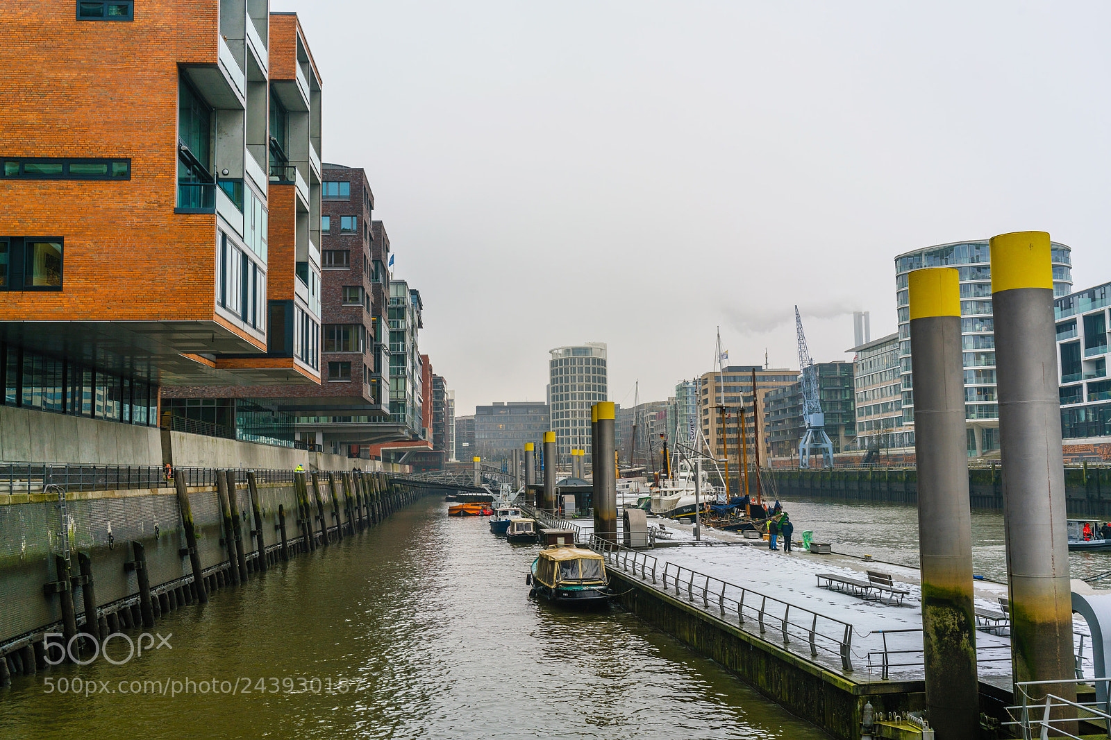 Sony a7R II sample photo. A gloomy and frosty photography