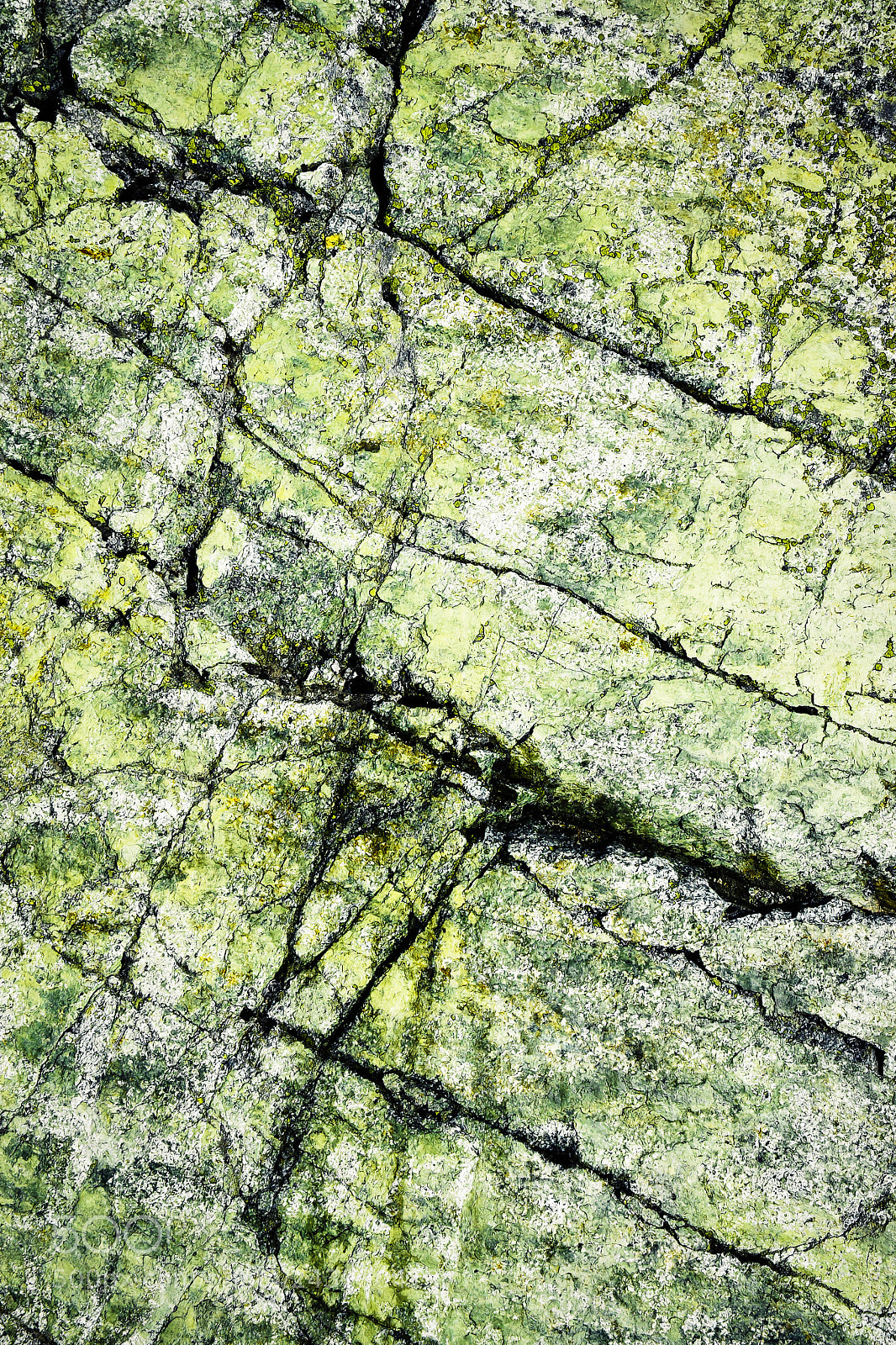 Nikon D5500 sample photo. Abstract green rock with photography