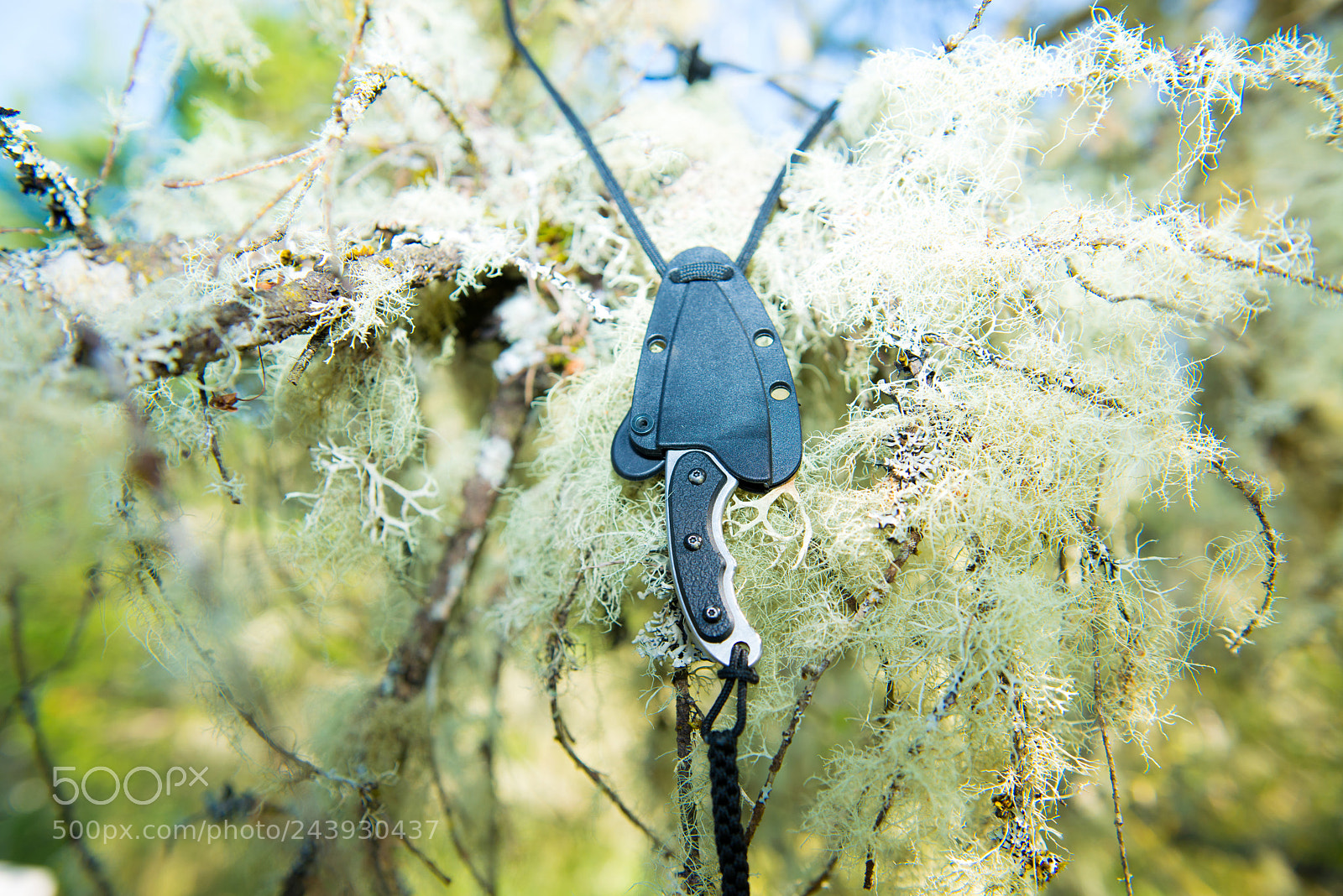 Nikon D800 sample photo. Crktsocialmedia photography