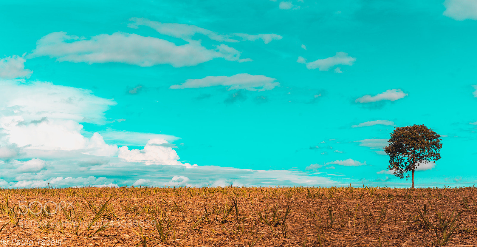 Canon EOS 1200D (EOS Rebel T5 / EOS Kiss X70 / EOS Hi) sample photo. Pano_teal and orange photography