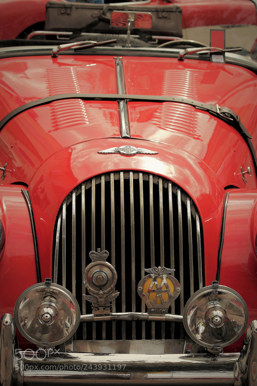 Canon EOS 650D (EOS Rebel T4i / EOS Kiss X6i) sample photo. A beauty in red photography