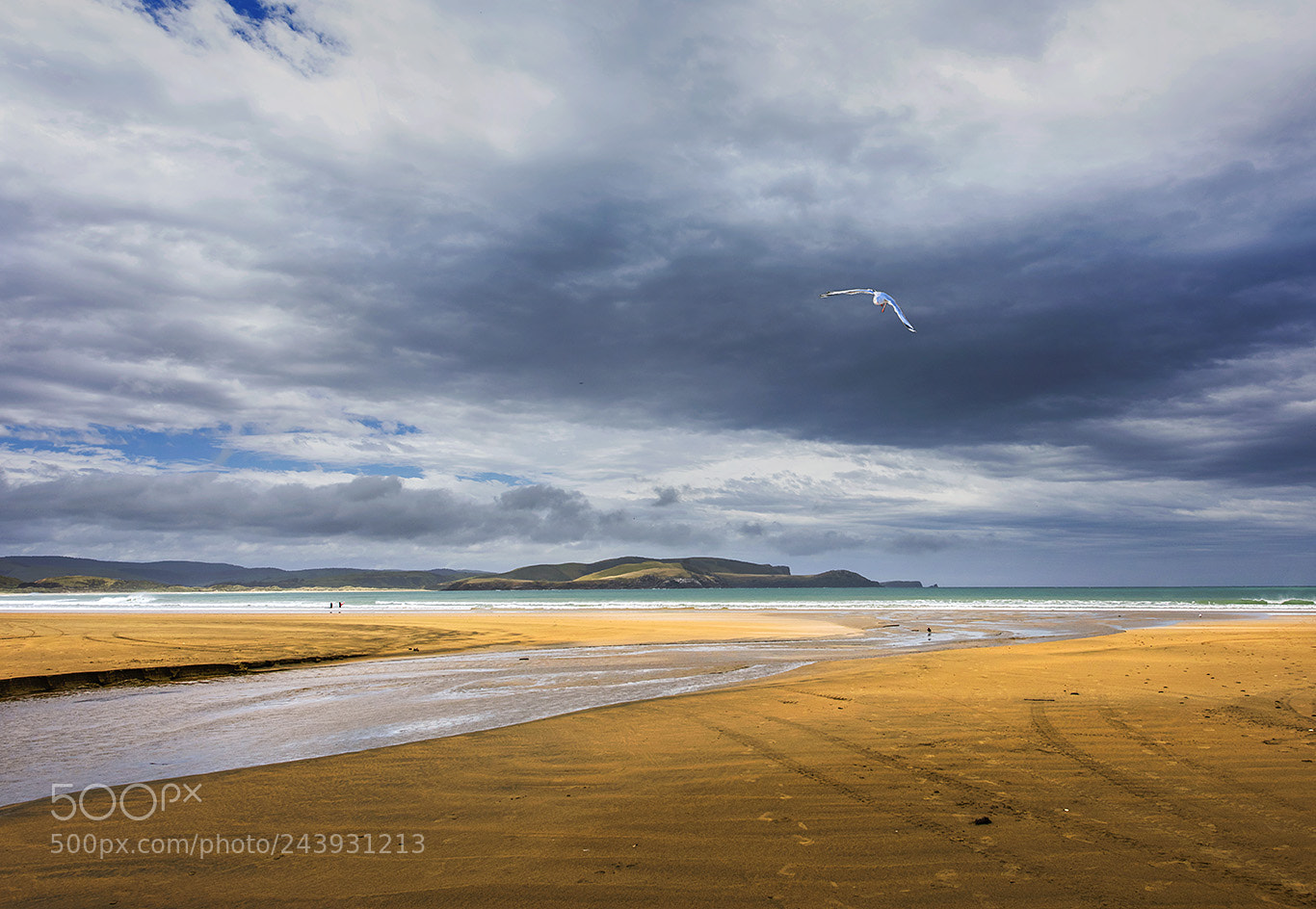 Nikon D810 sample photo. The beach photography