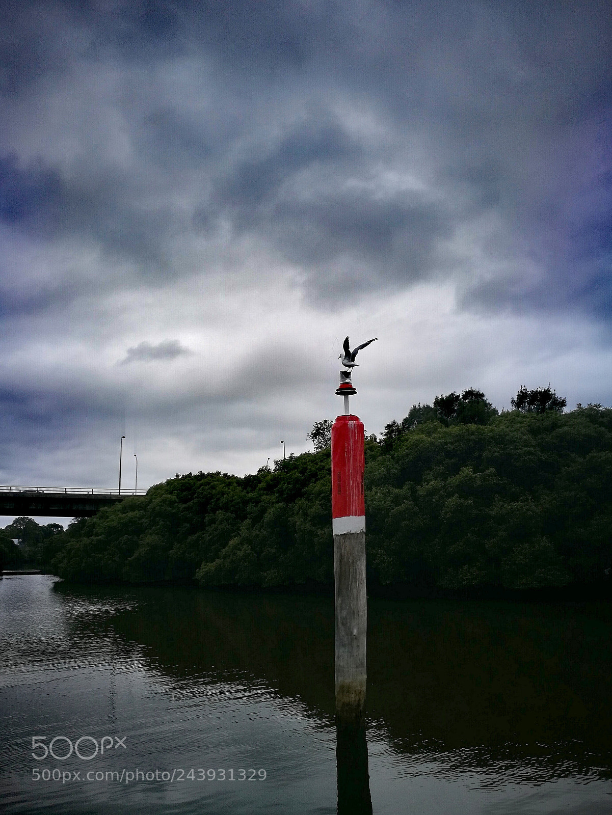 HUAWEI P9 sample photo. Parramatta river photography