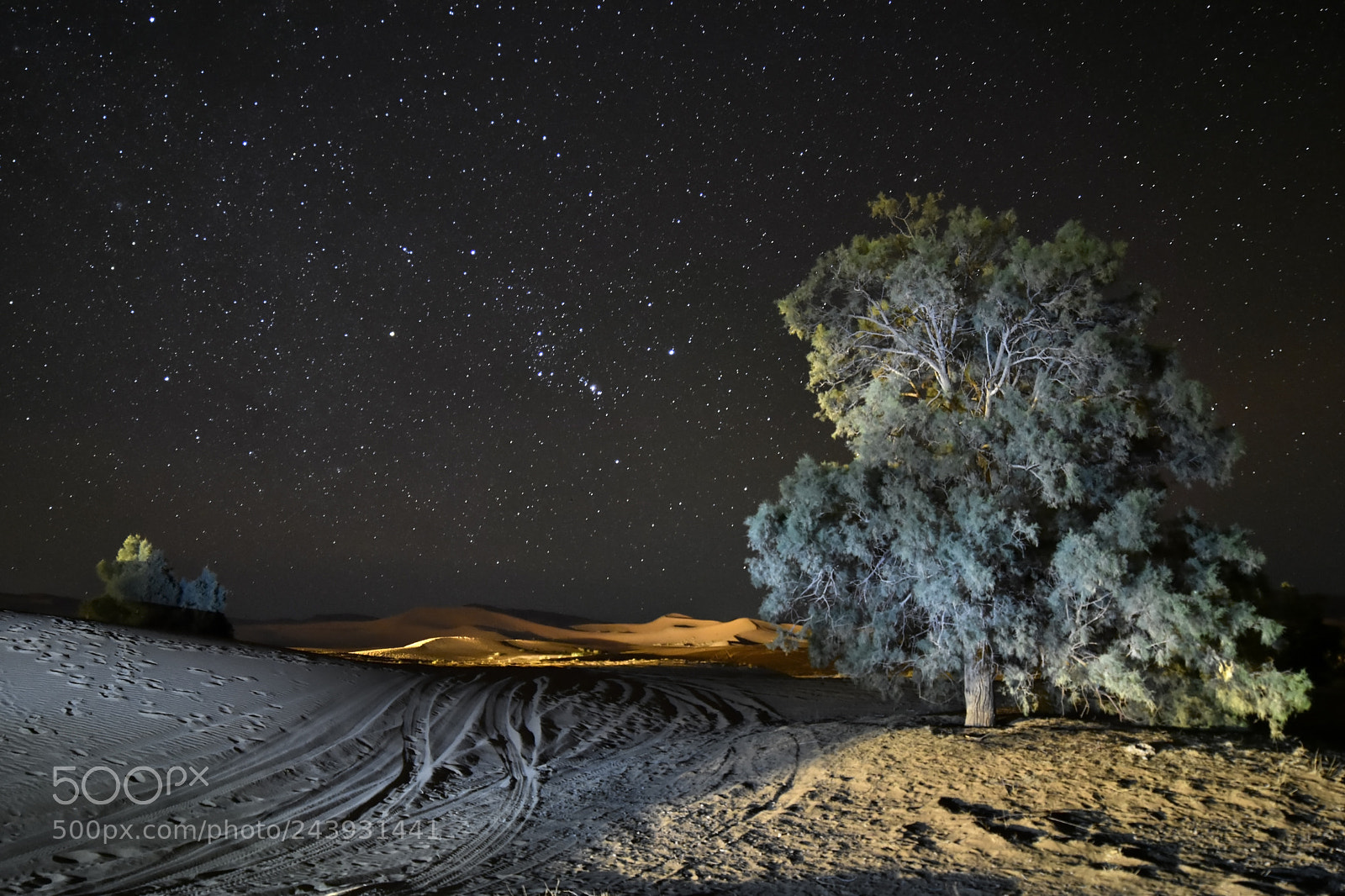 Nikon D7200 sample photo. La noche en el photography