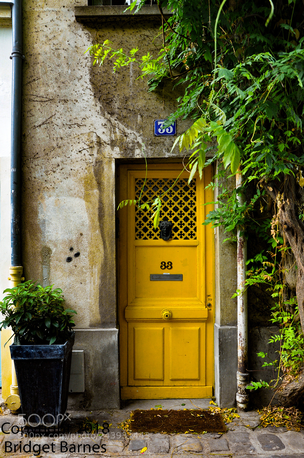 Nikon D90 sample photo. La porte jaune photography