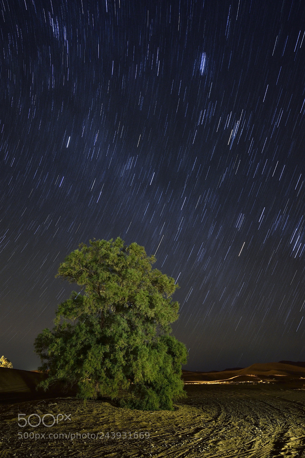 Nikon D7200 sample photo. Noche en el desierto. photography
