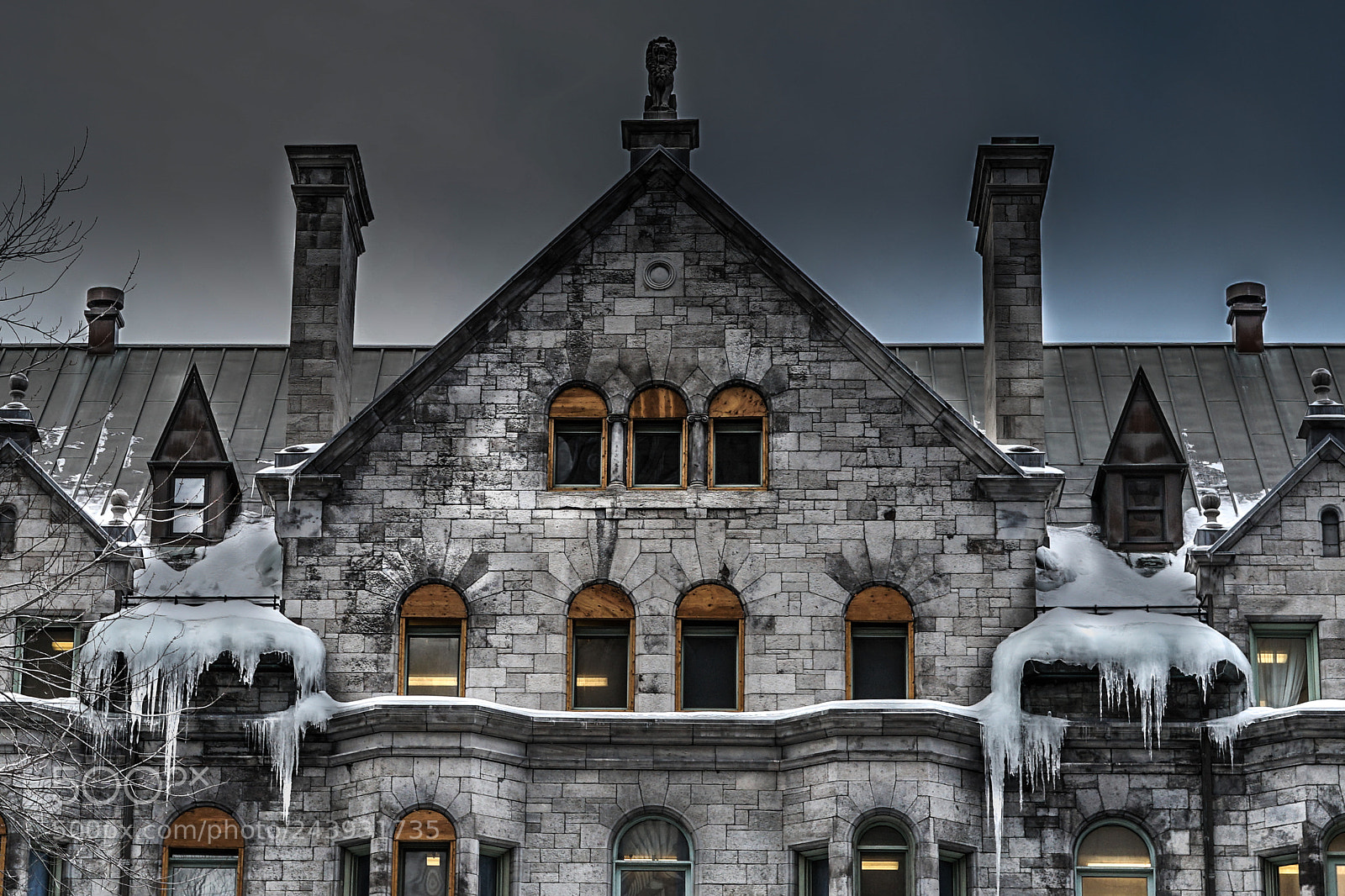 Sony a7 II sample photo. Iced castle.. photography