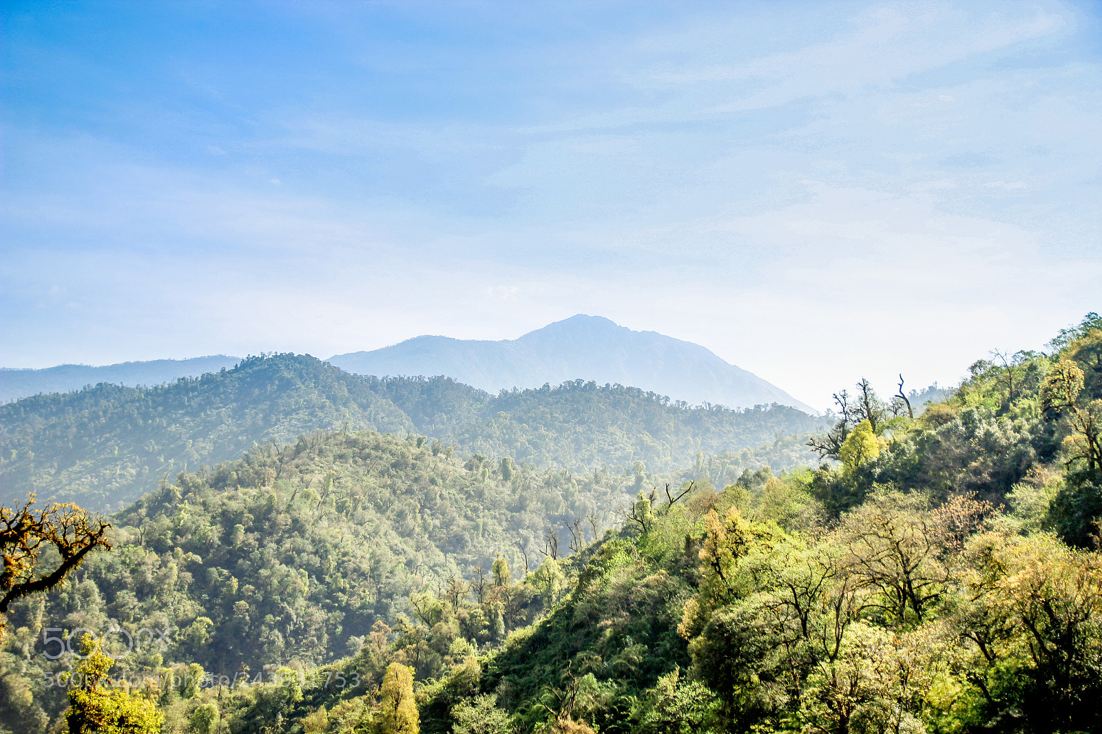 Canon EOS 600D (Rebel EOS T3i / EOS Kiss X5) sample photo. Yungas photography