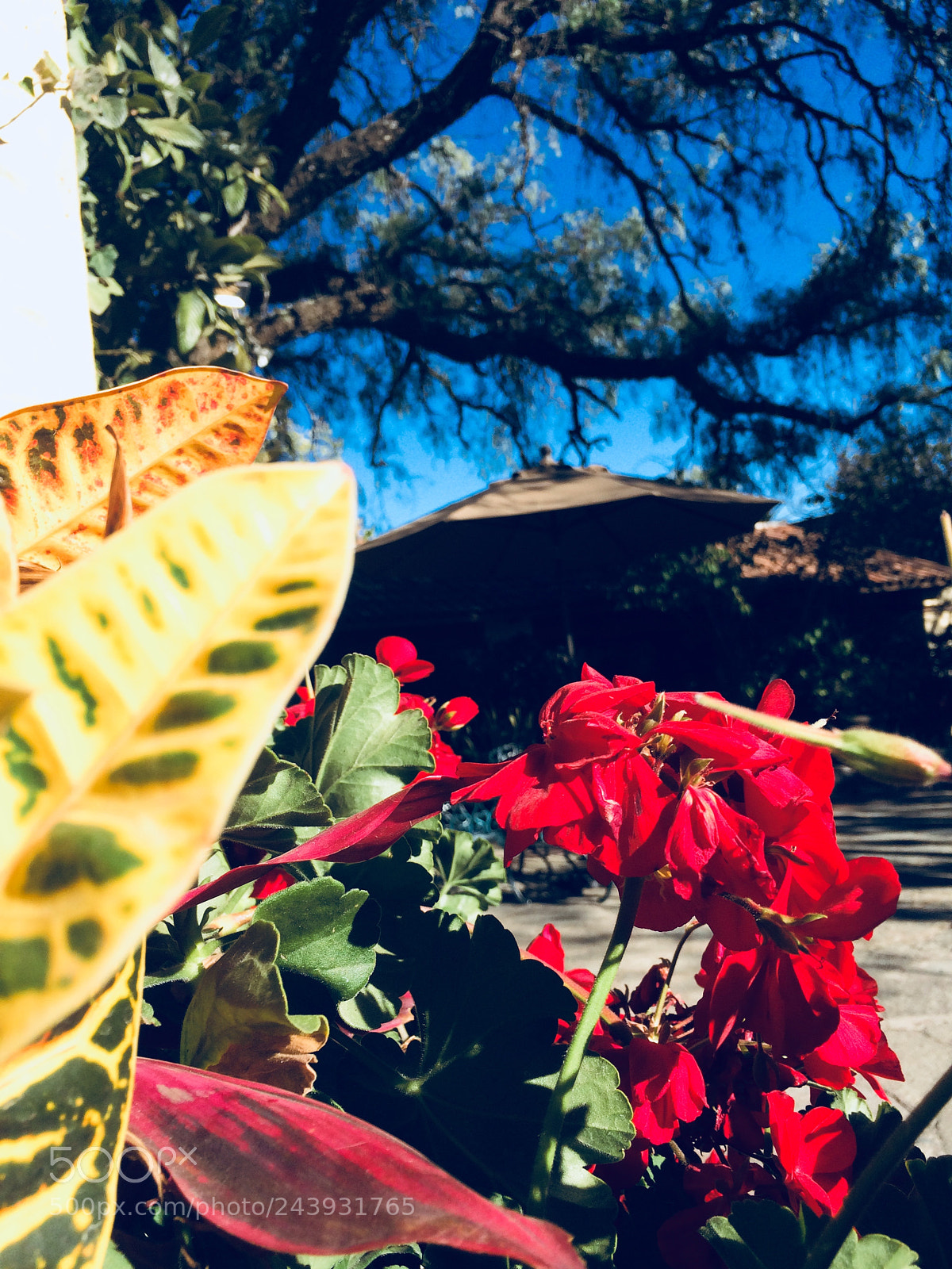 Apple iPhone 5s sample photo. Guanajuato, gto. photography